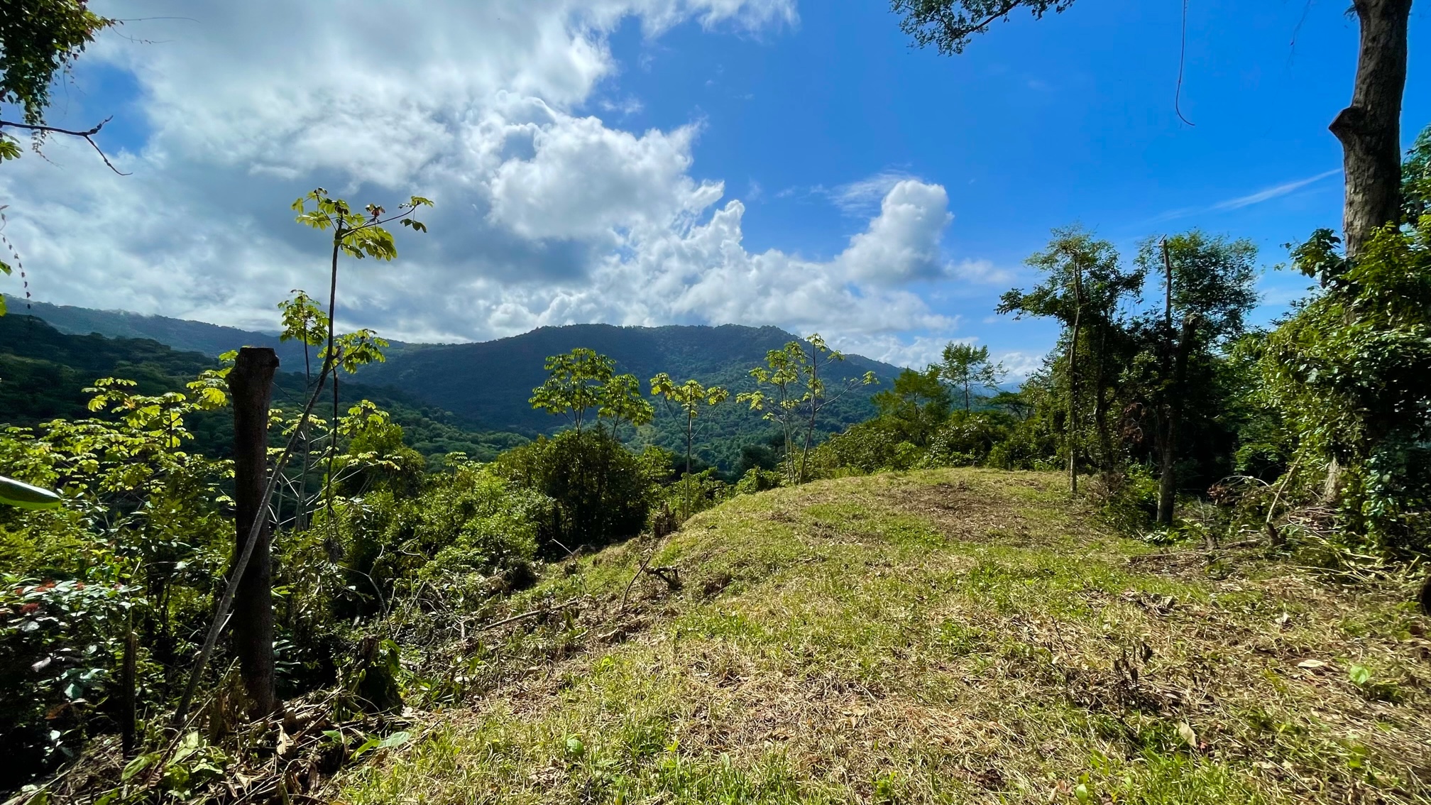 0 bed Land For Sale in Dominical, Puntarenas - thumb 6