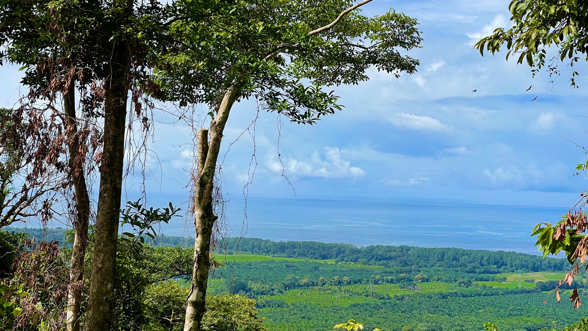 0 bed Land For Sale in Dominical, Puntarenas - thumb 1
