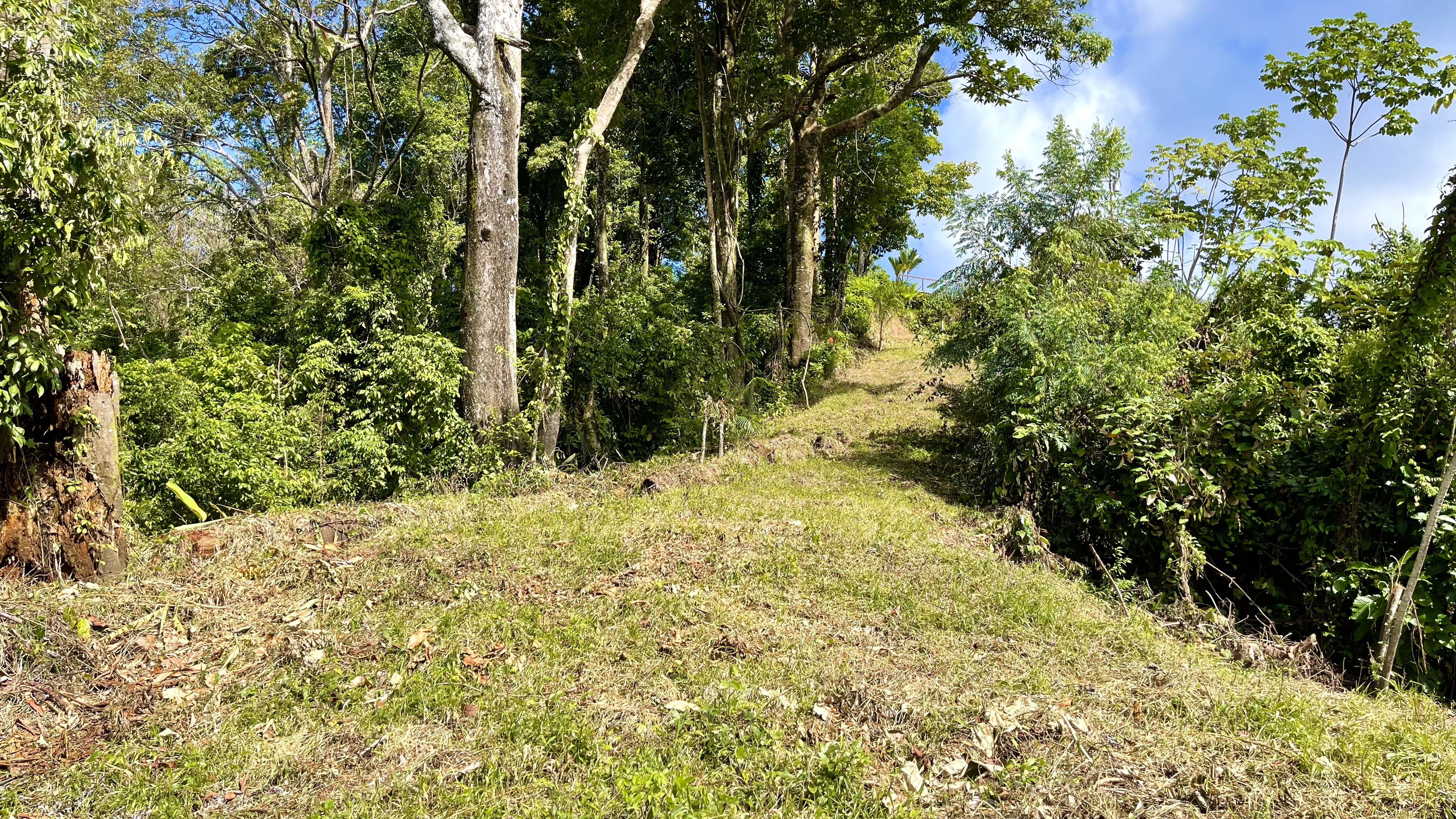 0 bed Land For Sale in Dominical, Puntarenas - thumb 7