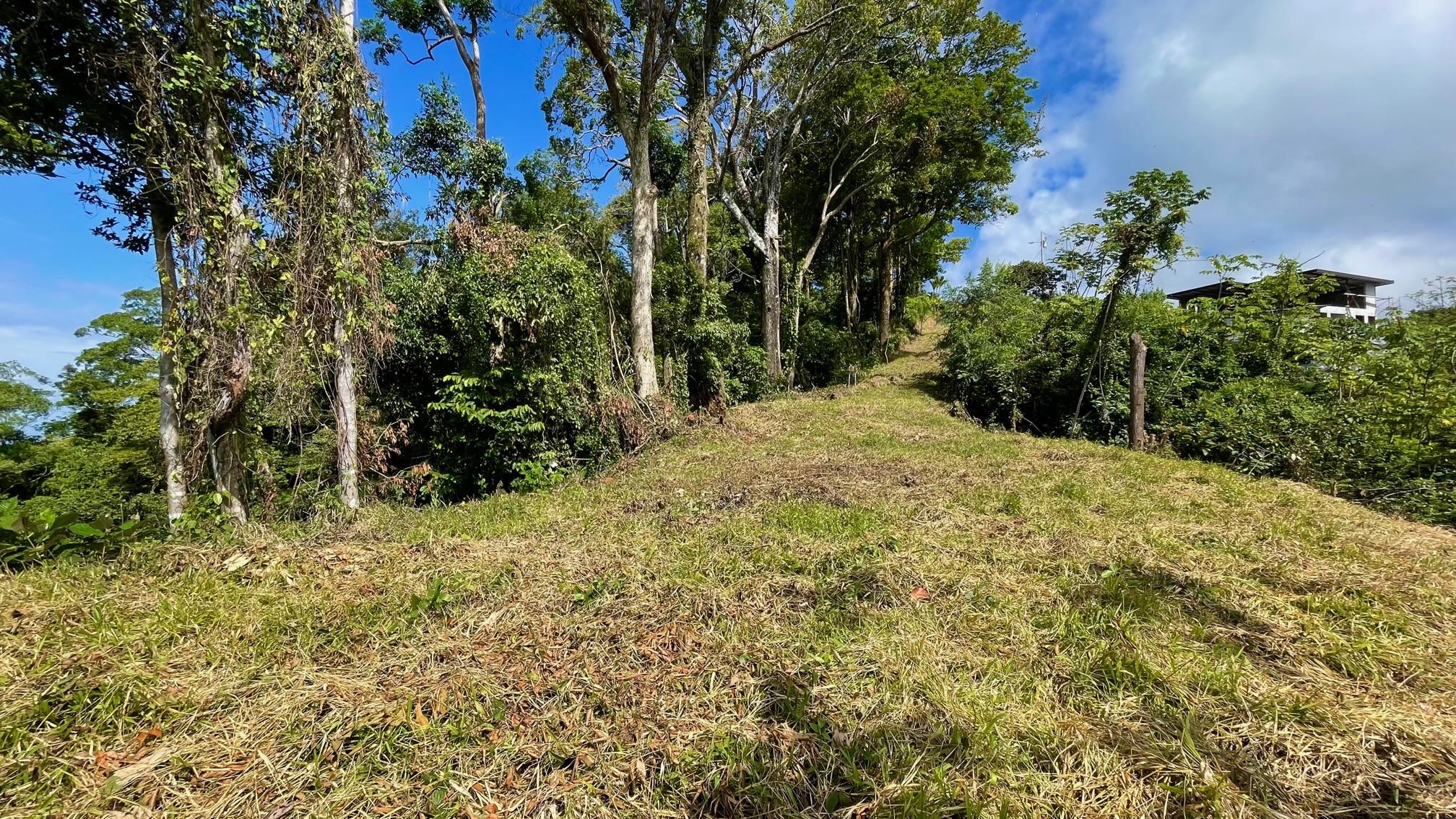 0 bed Land For Sale in Dominical, Puntarenas - thumb 9