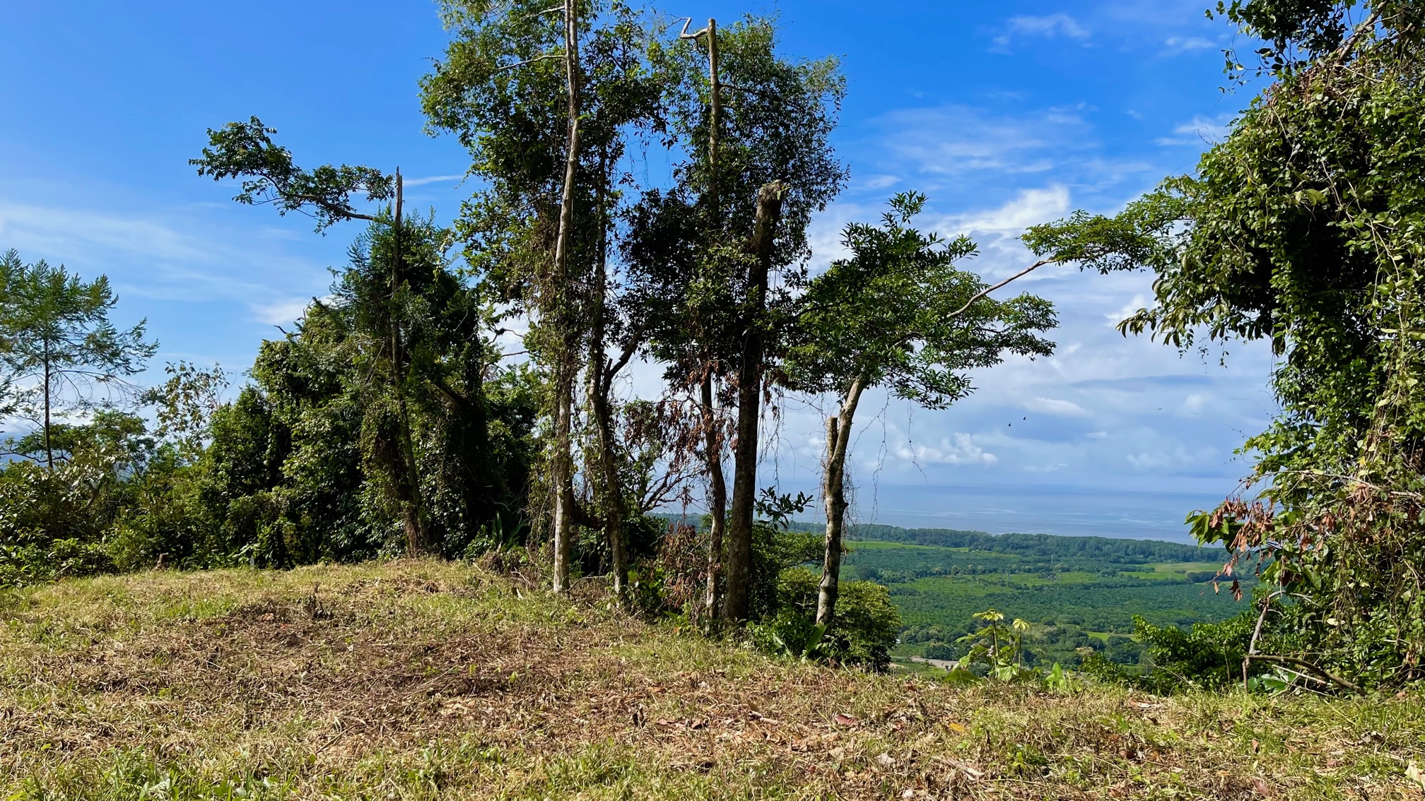 0 bed Land For Sale in Dominical, Puntarenas - thumb 3