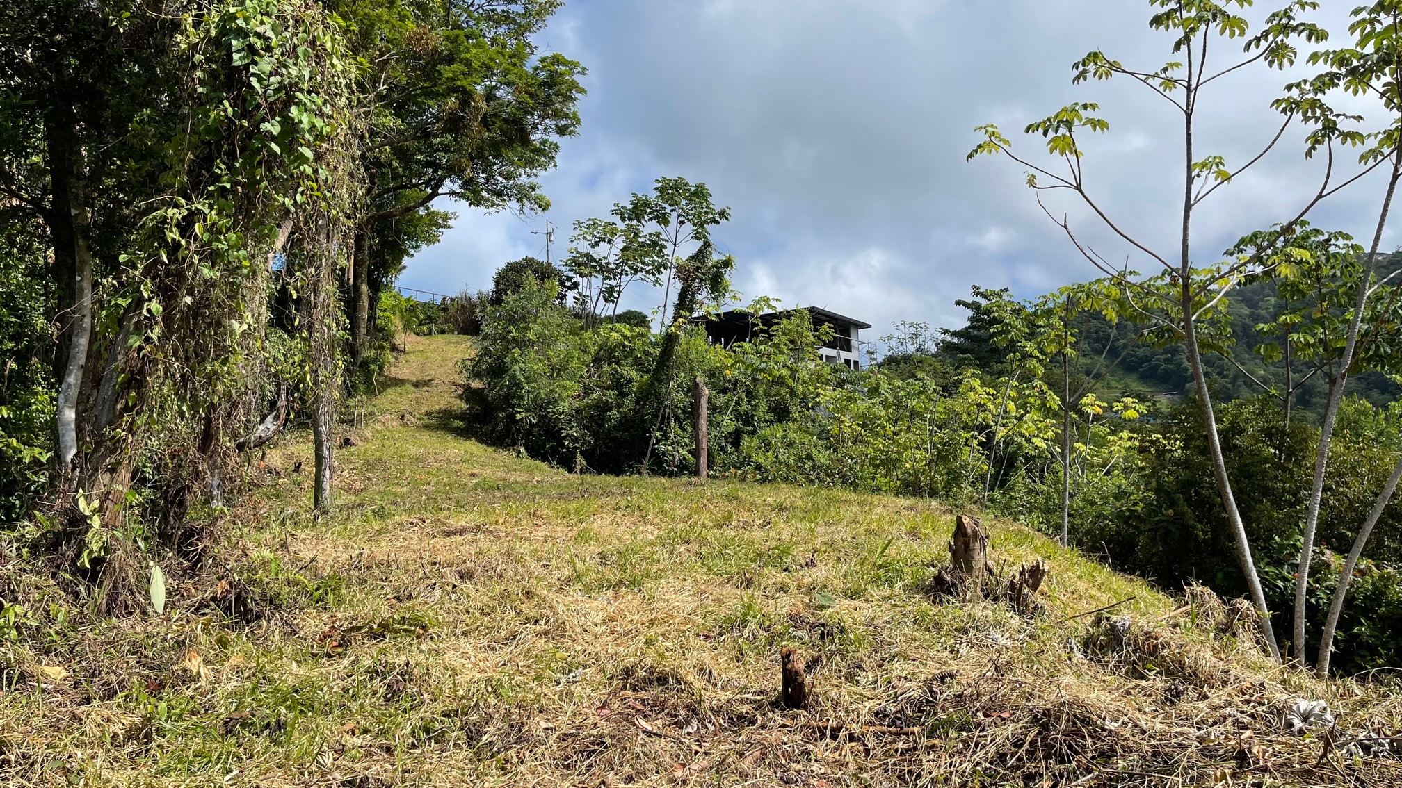 0 bed Land For Sale in Dominical, Puntarenas - thumb 8