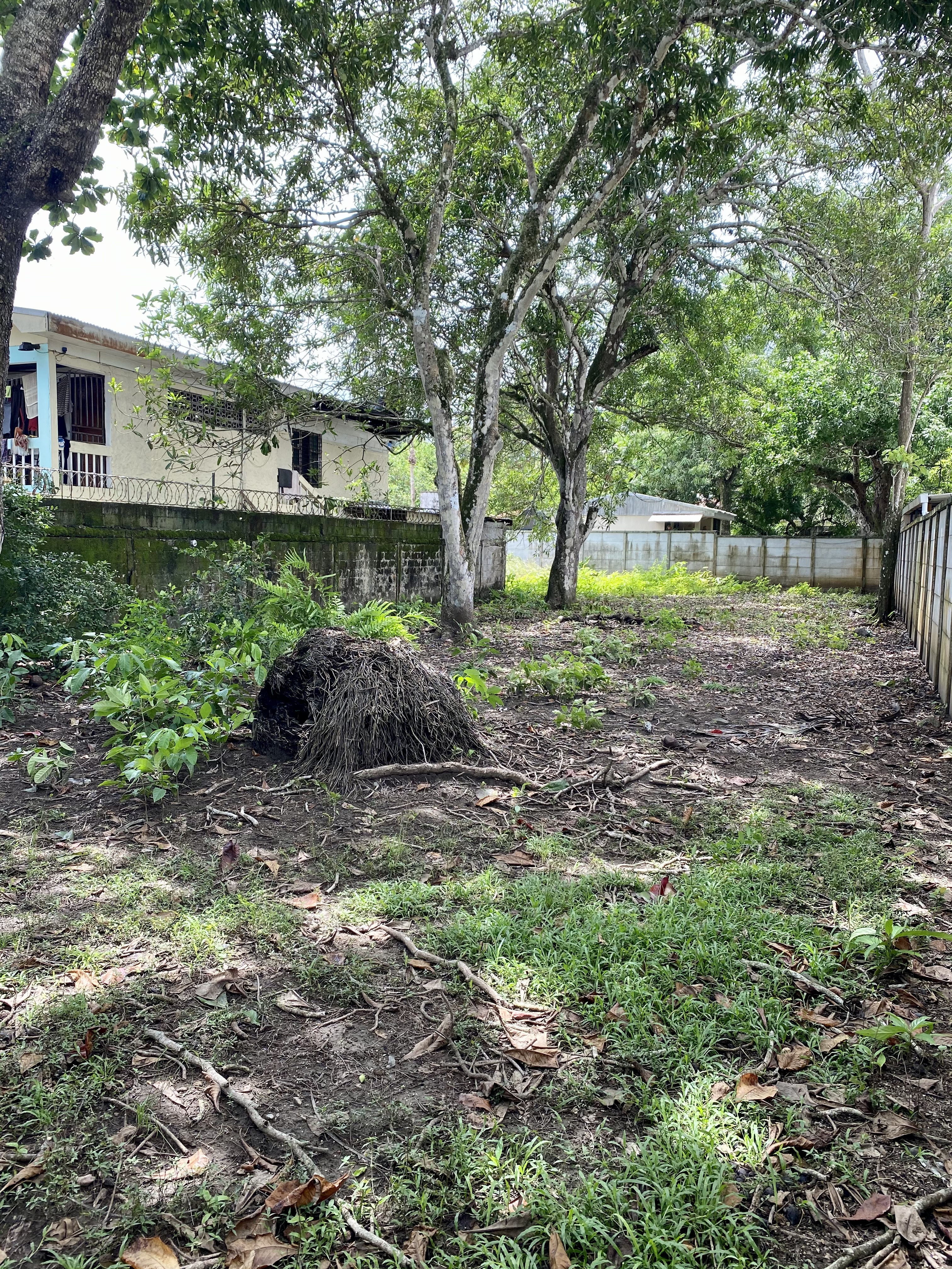 0 bed Land For Sale in Jaco, Puntarenas - thumb 5