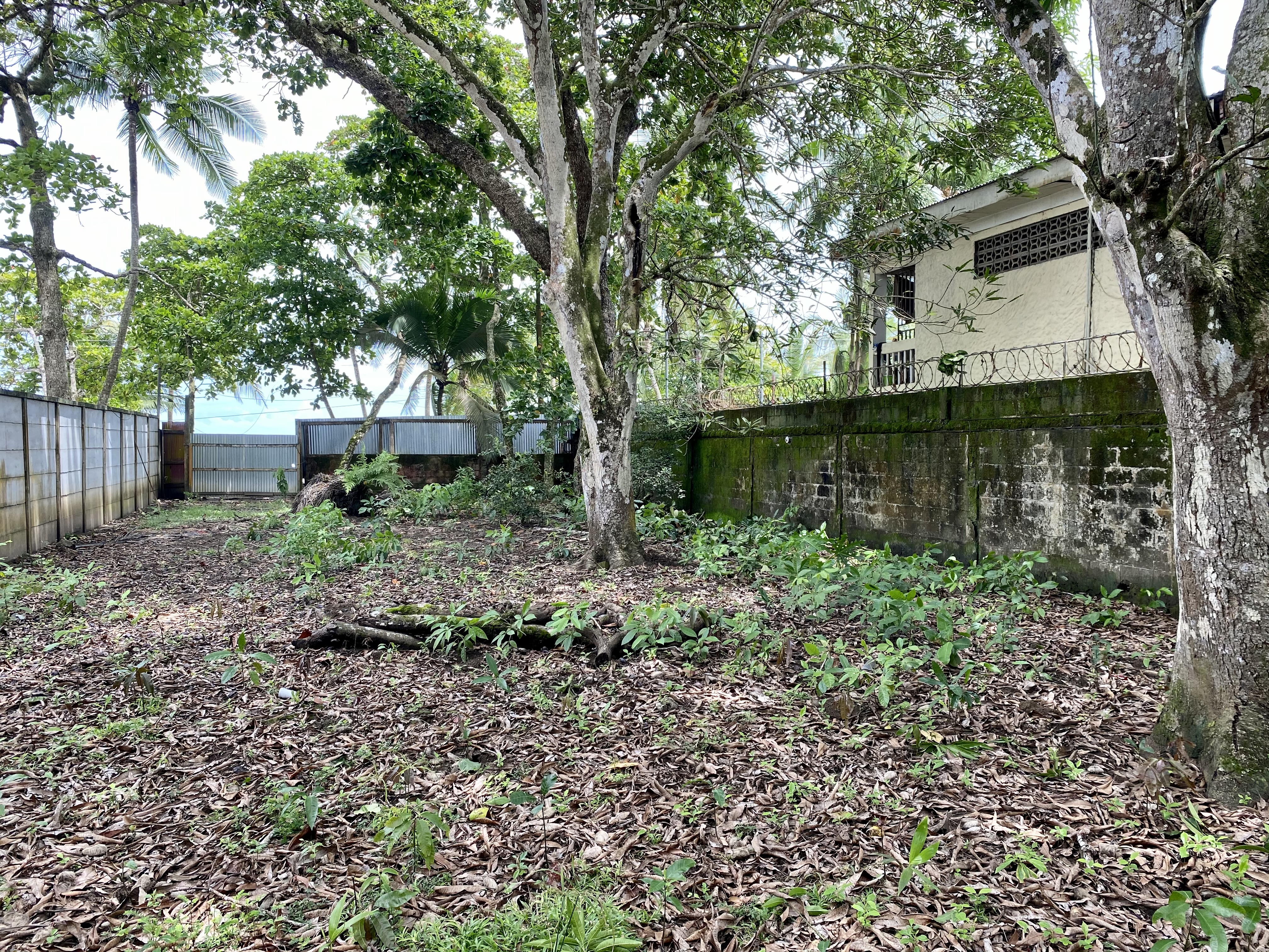 0 bed Land For Sale in Jaco, Puntarenas - thumb 9