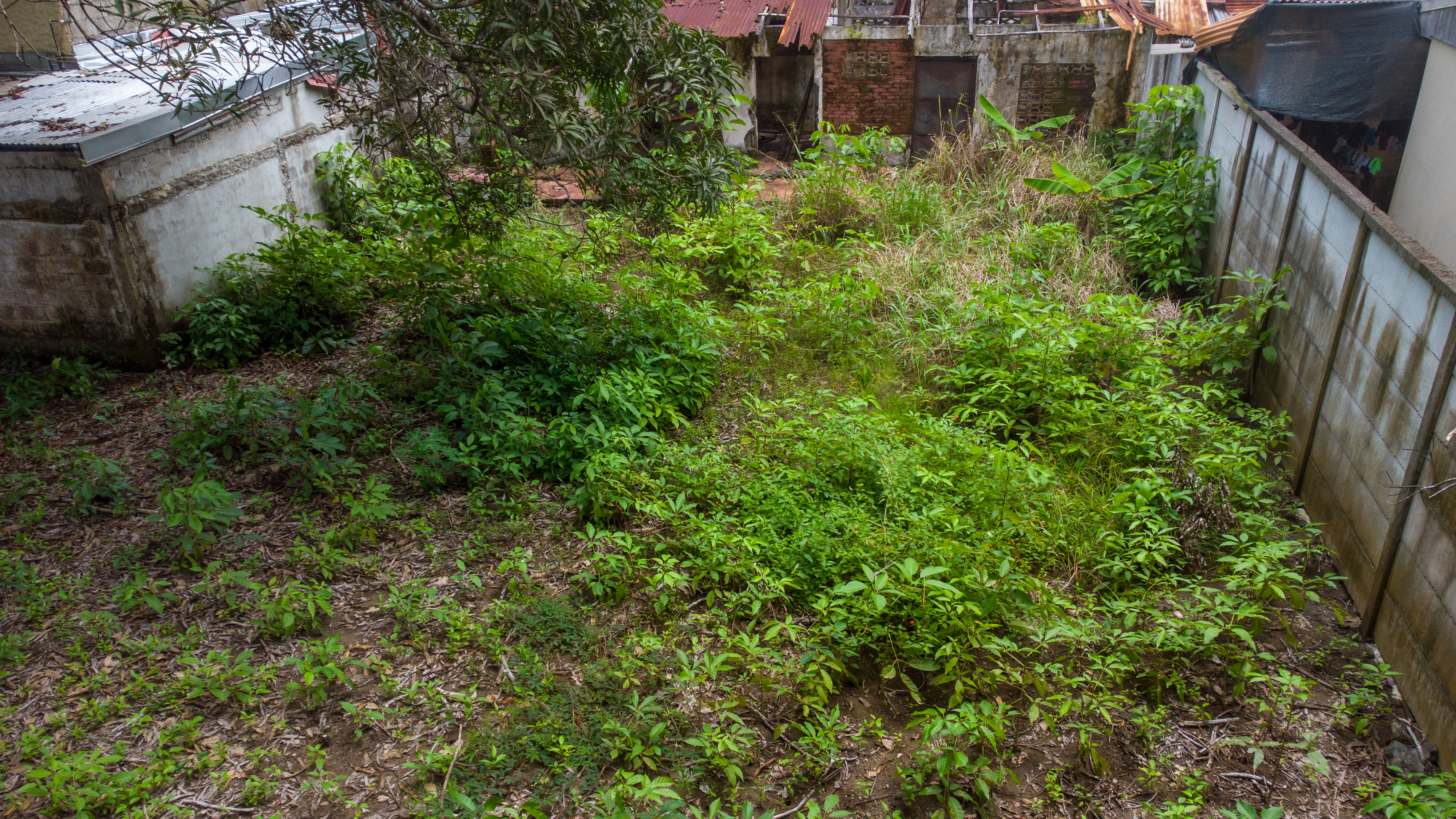 0 bed Land For Sale in Jaco, Puntarenas - thumb 2