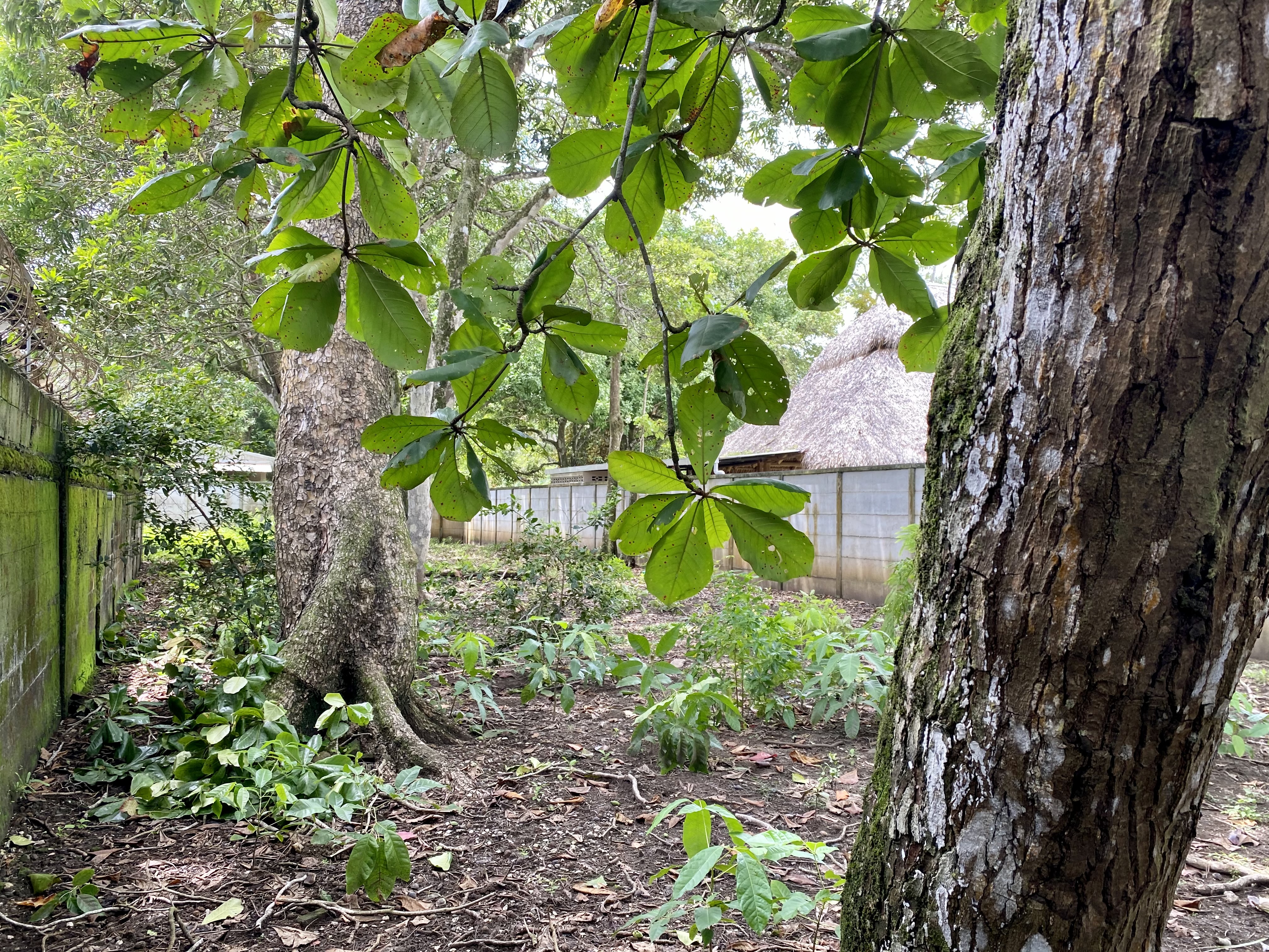 0 bed Land For Sale in Jaco, Puntarenas - thumb 11