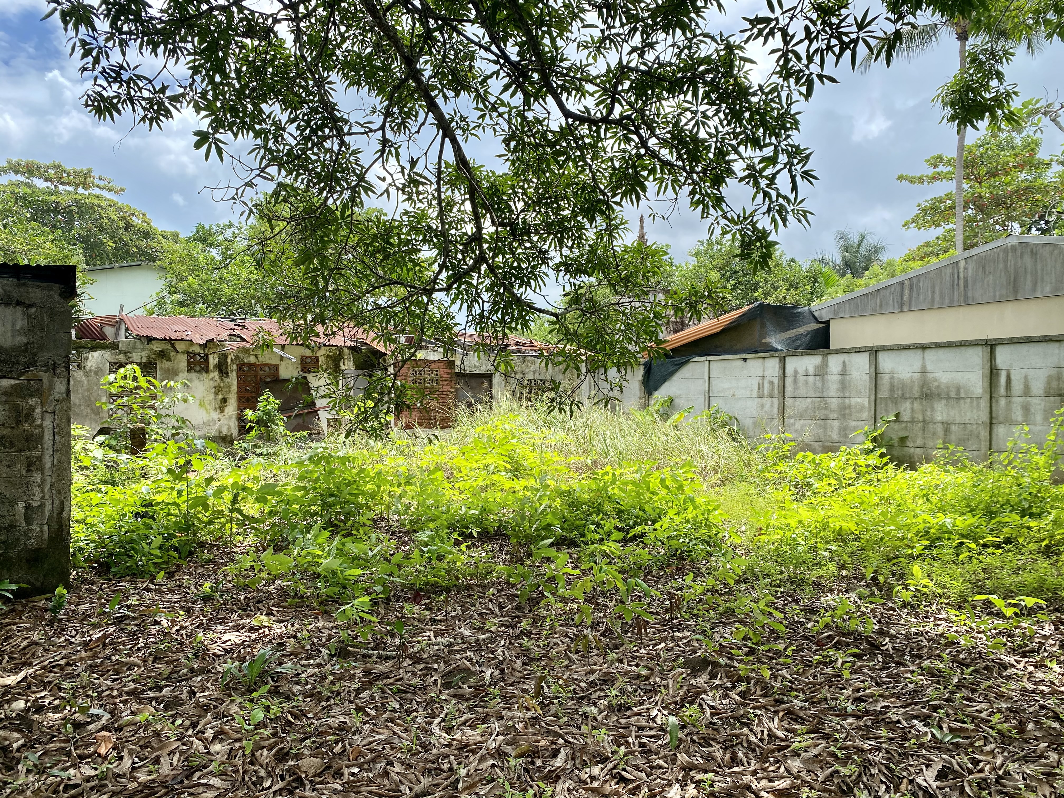 0 bed Land For Sale in Jaco, Puntarenas - thumb 10