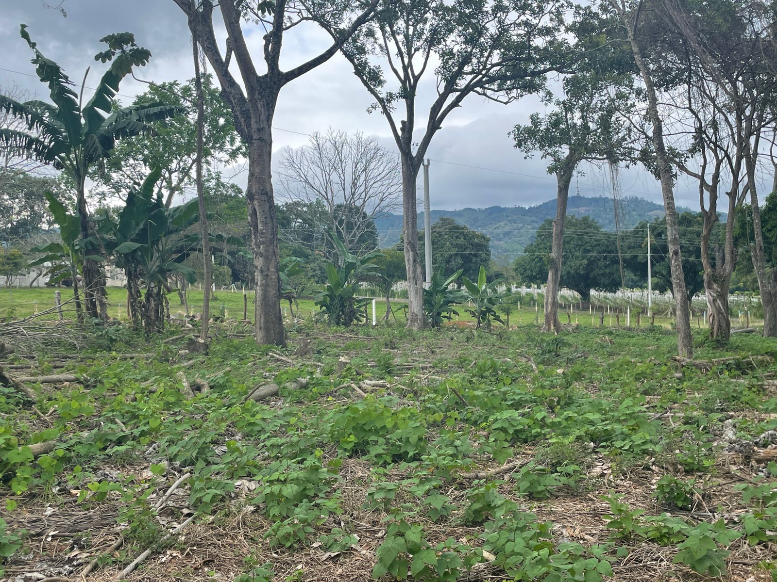 0 bed Land For Sale in Atenas, Alajuela - thumb 1