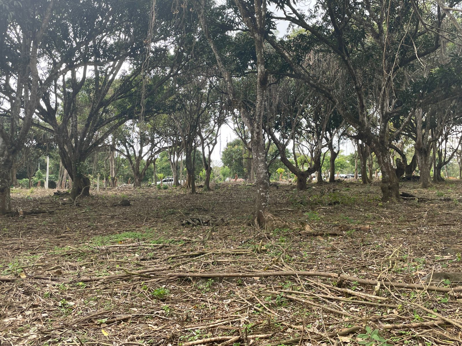 0 bed Land For Sale in Atenas, Alajuela - thumb 9