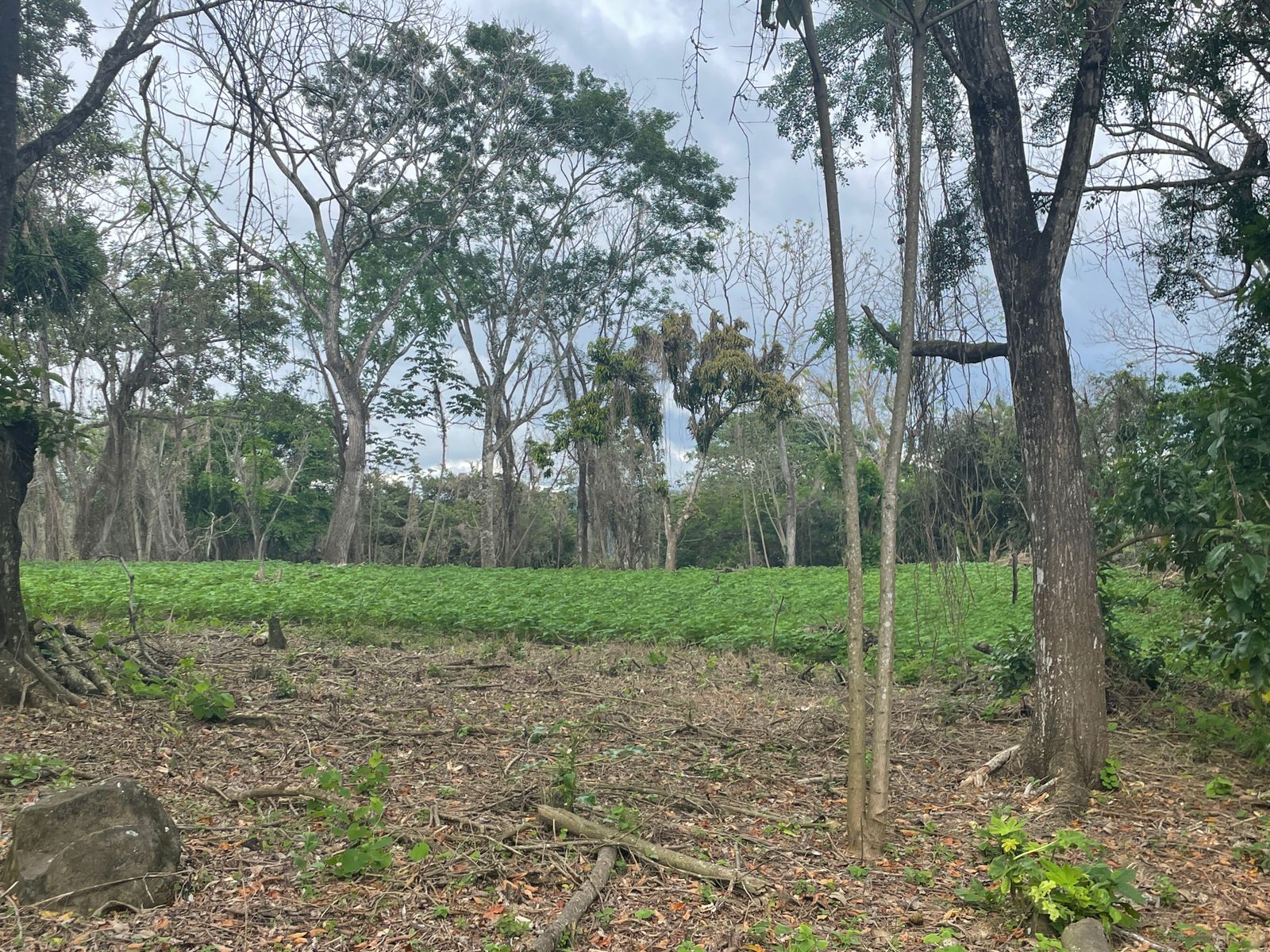 0 bed Land For Sale in Atenas, Alajuela - thumb 3