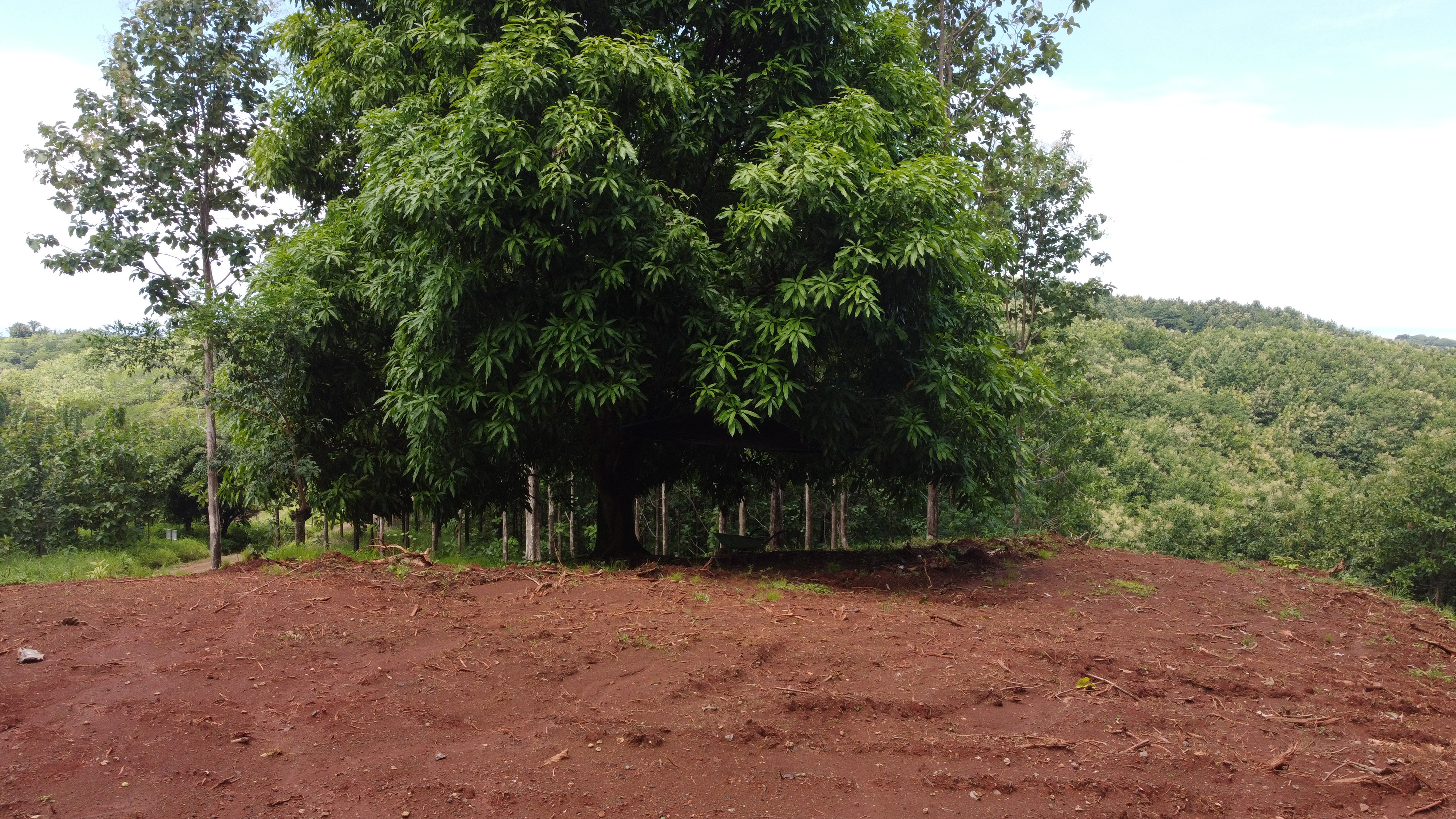 0 bed Land For Sale in Samara, Guanacaste - thumb 11