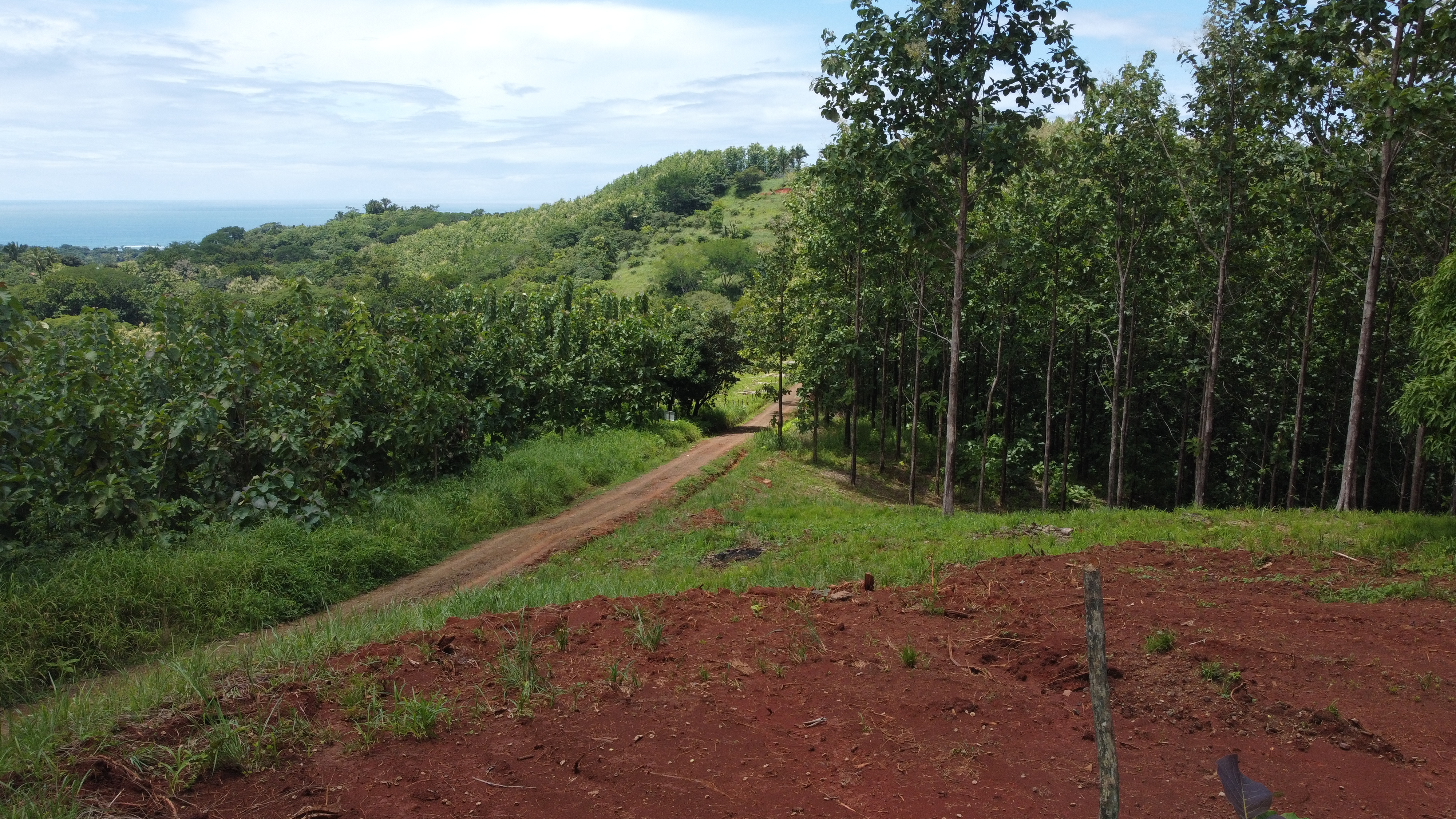 0 bed Land For Sale in Samara, Guanacaste - thumb 12