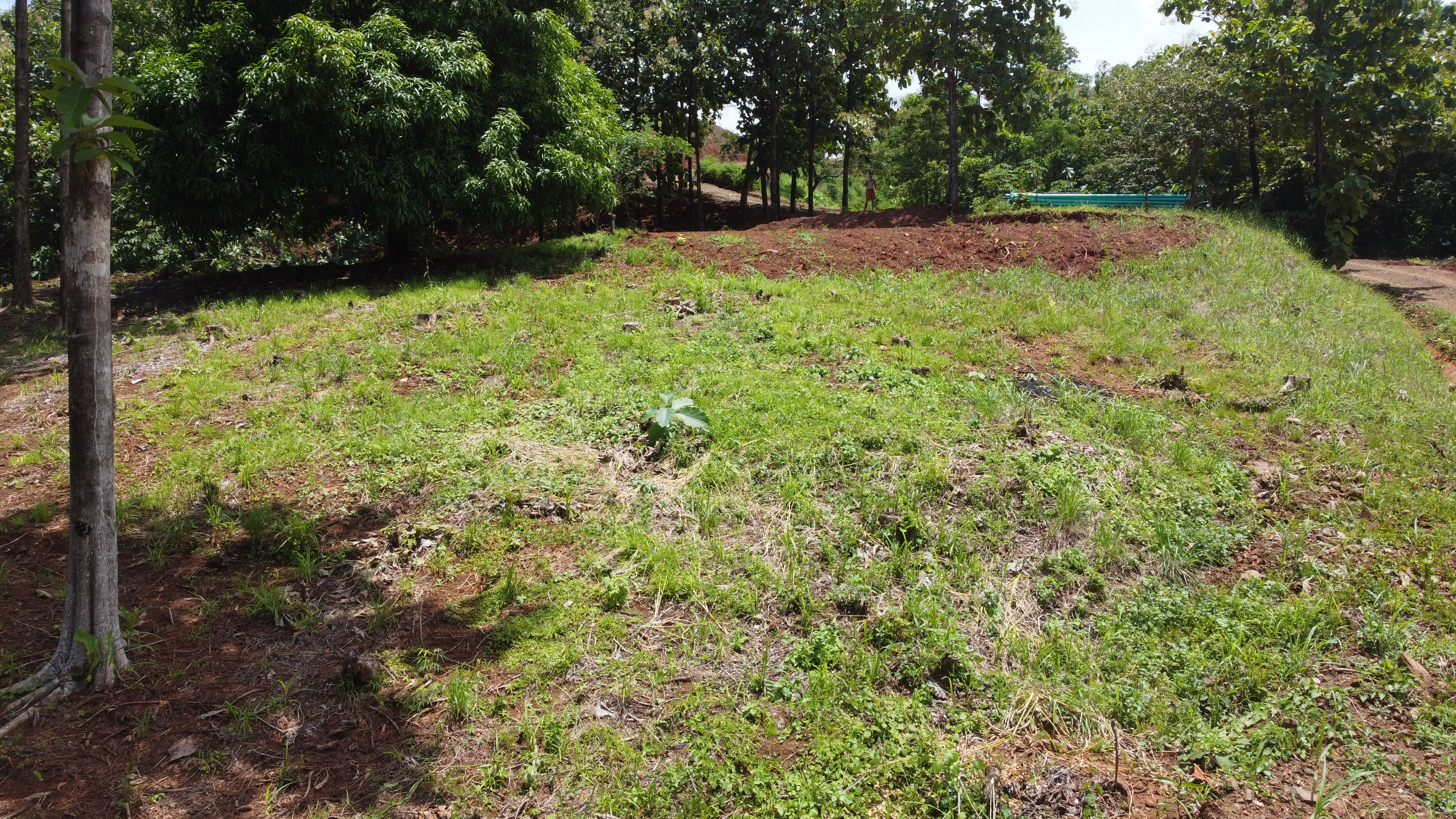 0 bed Land For Sale in Samara, Guanacaste - thumb 18