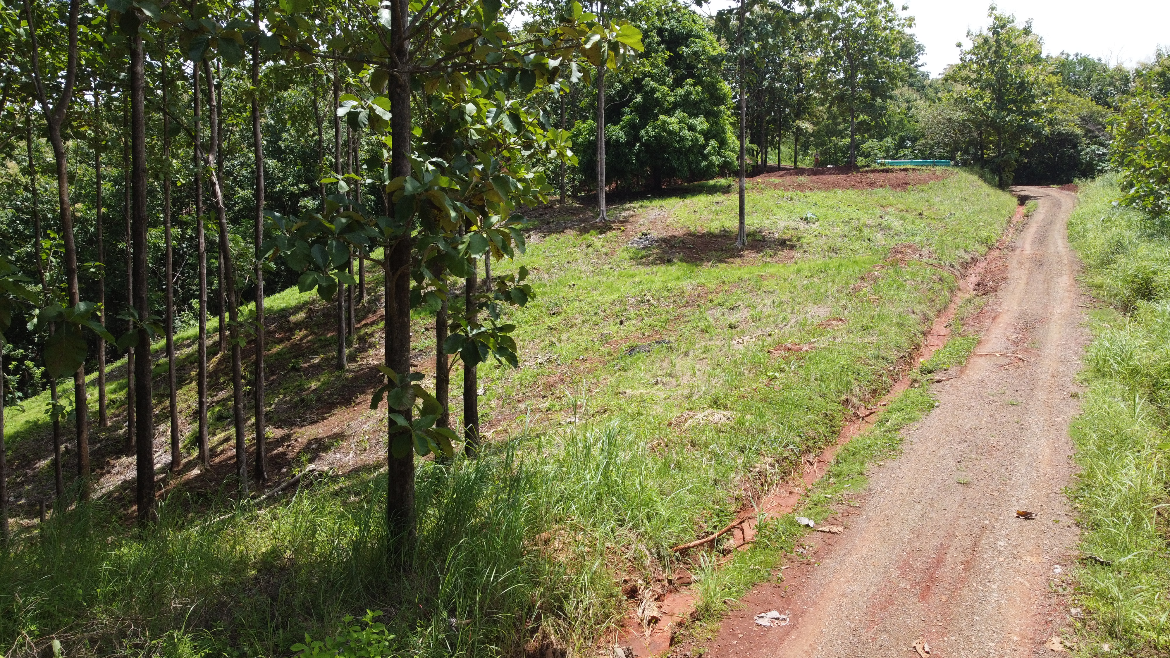 0 bed Land For Sale in Samara, Guanacaste - thumb 16