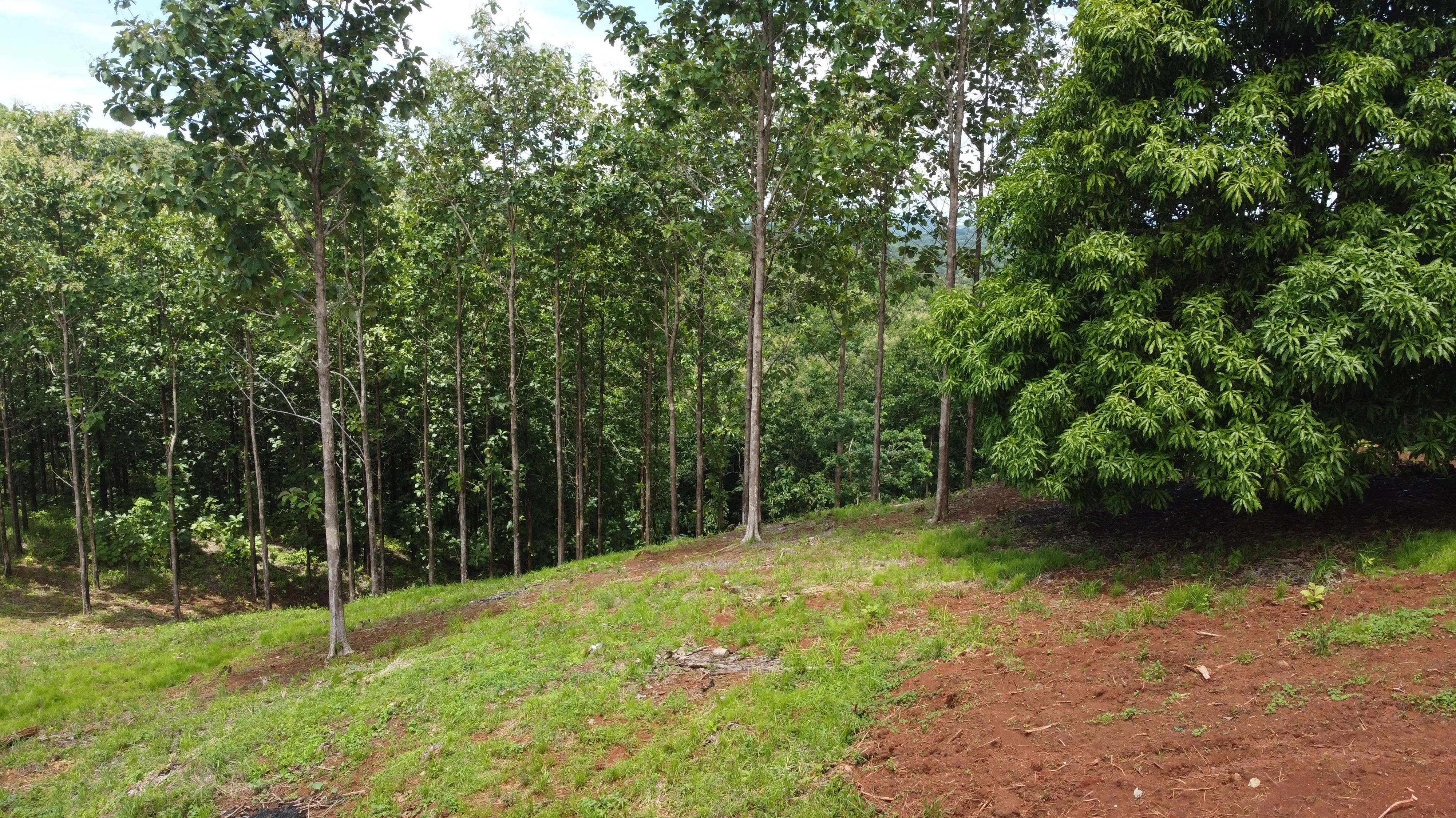 0 bed Land For Sale in Samara, Guanacaste - thumb 13