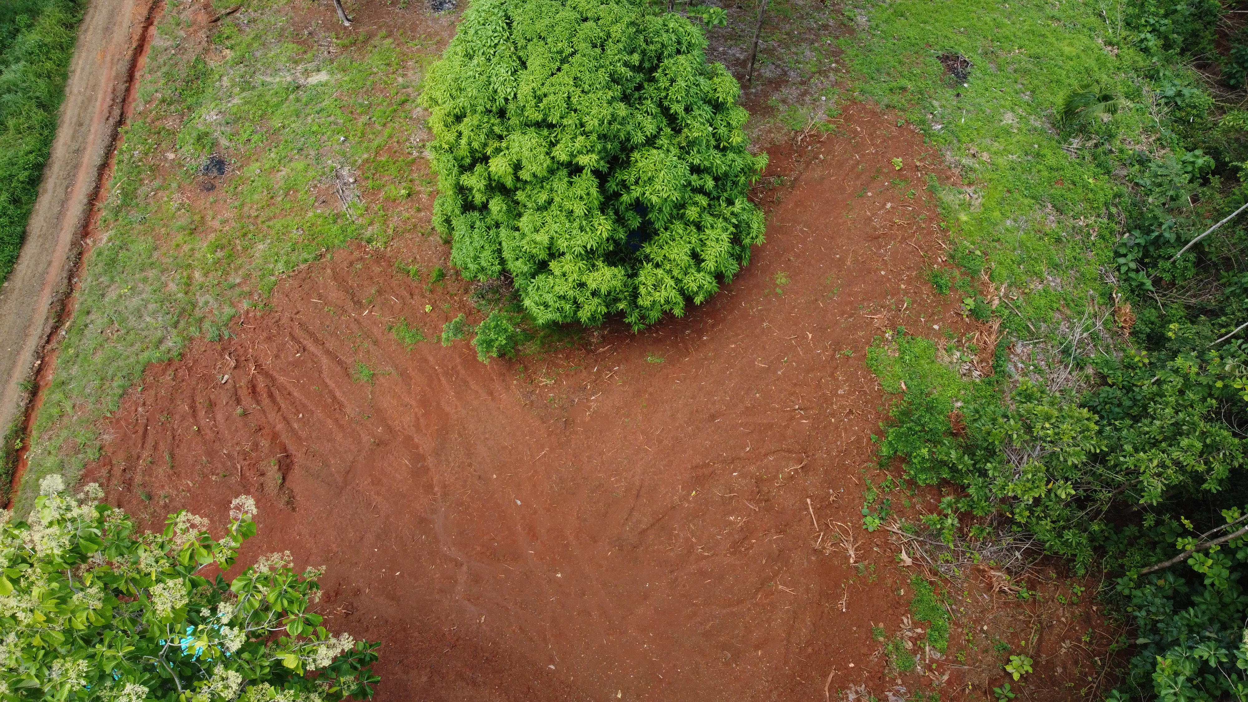 0 bed Land For Sale in Samara, Guanacaste - thumb 10