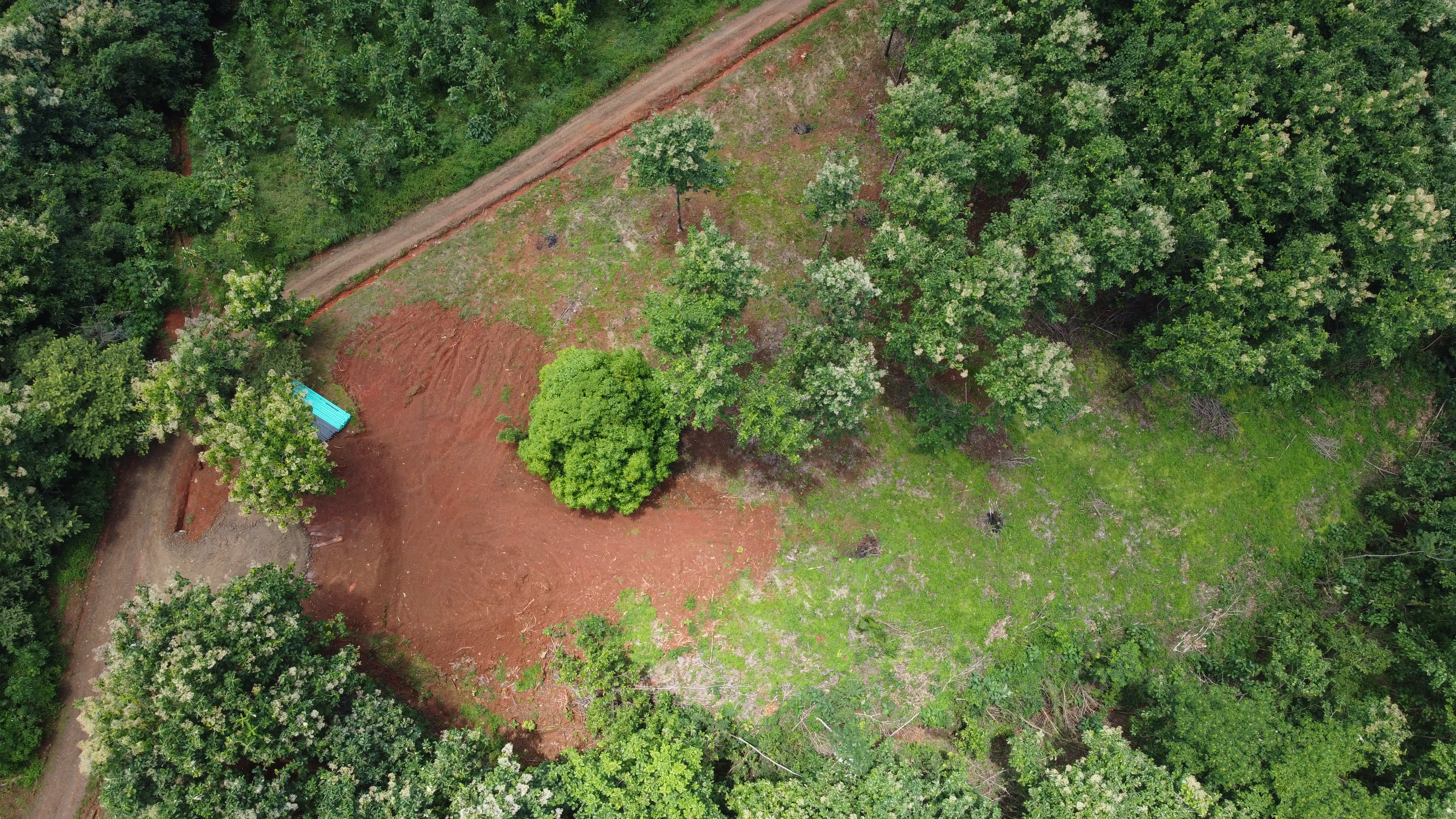 0 bed Land For Sale in Samara, Guanacaste - thumb 8