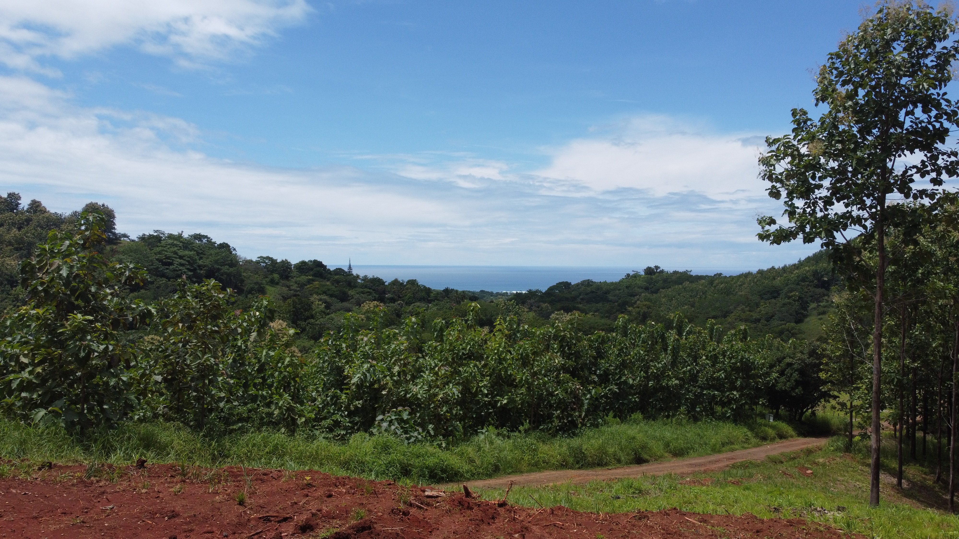 0 bed Land For Sale in Samara, Guanacaste - thumb 5