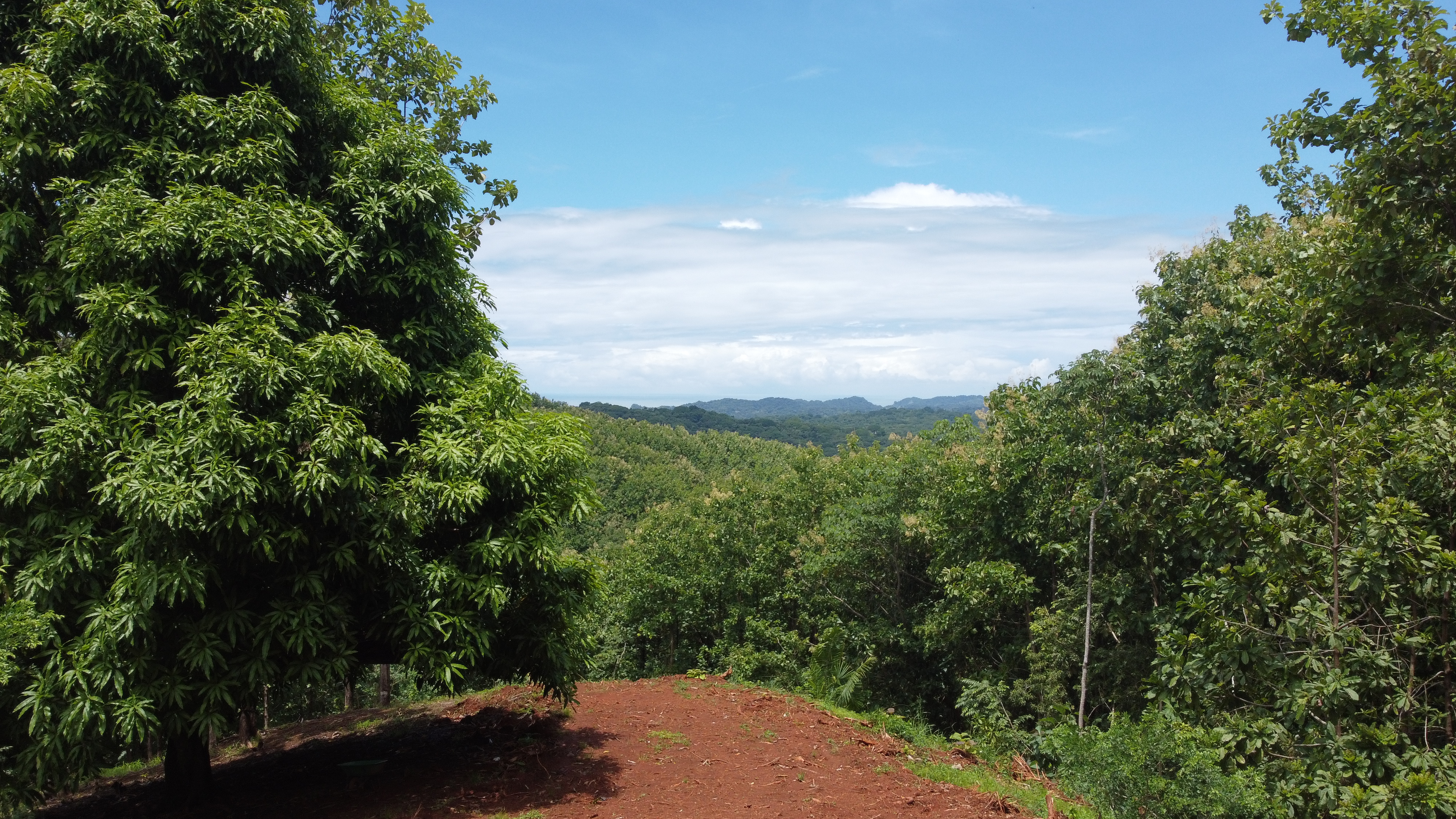 0 bed Land For Sale in Samara, Guanacaste - thumb 3