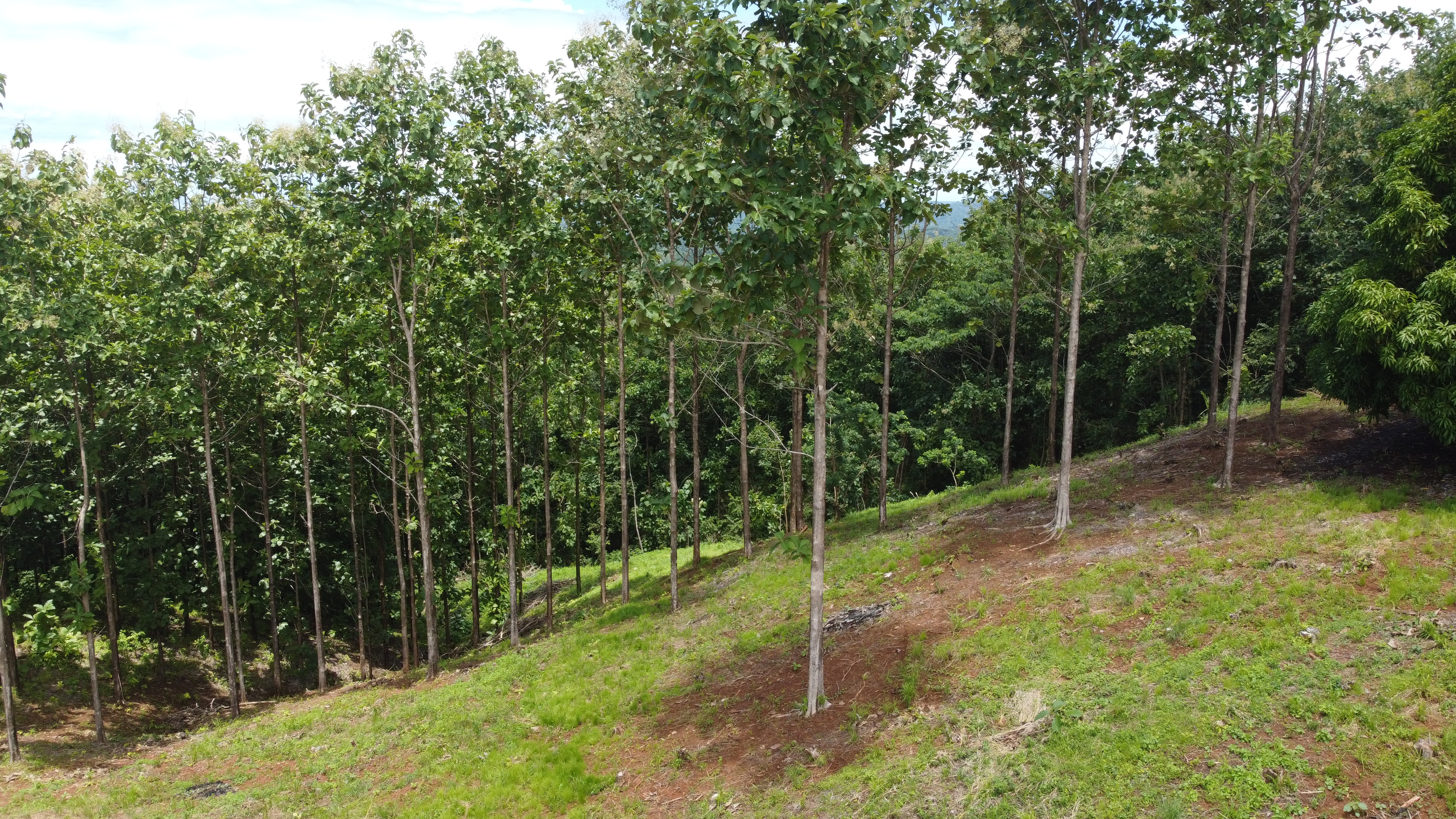 0 bed Land For Sale in Samara, Guanacaste - thumb 14