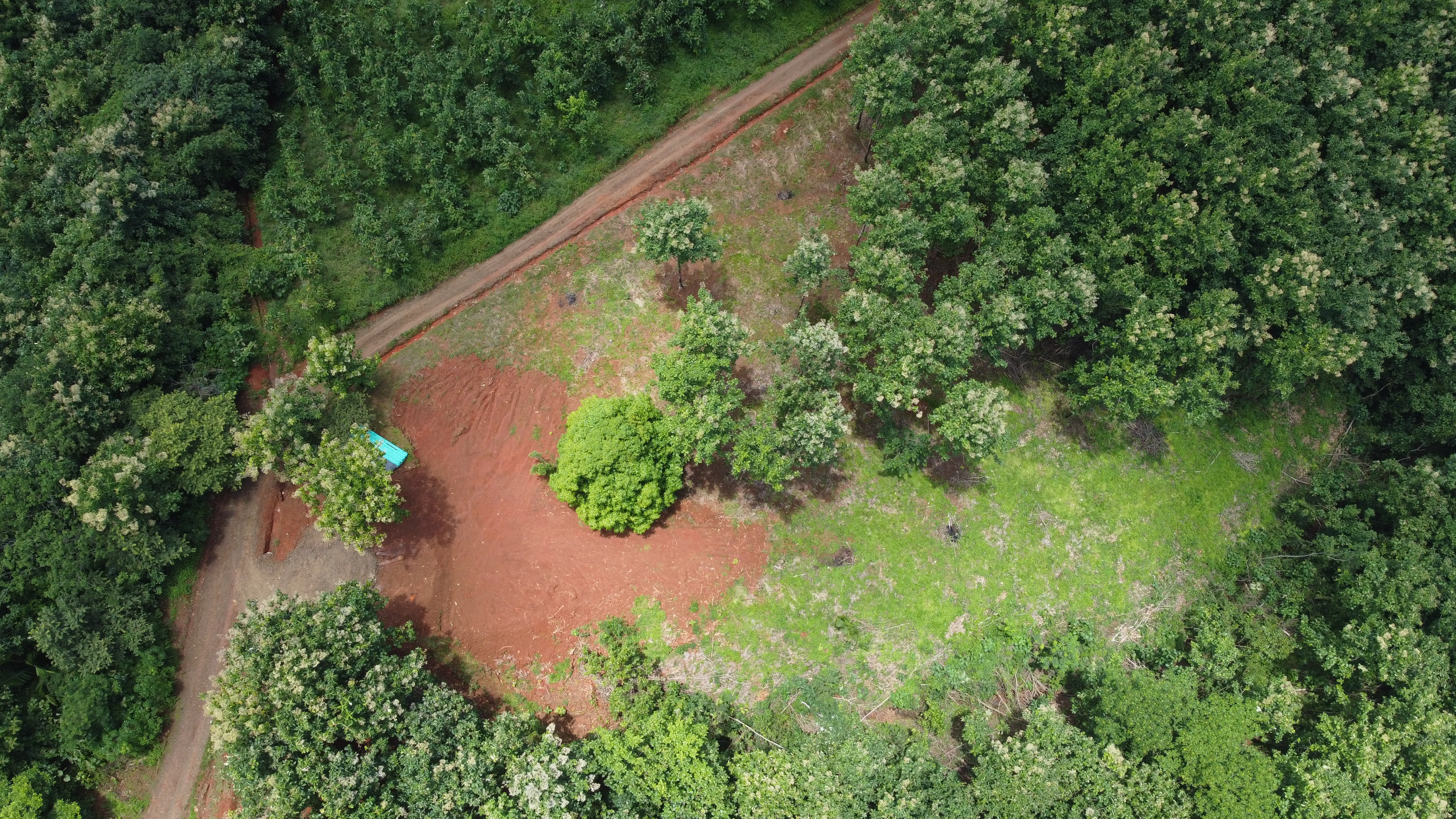 0 bed Land For Sale in Samara, Guanacaste - thumb 7