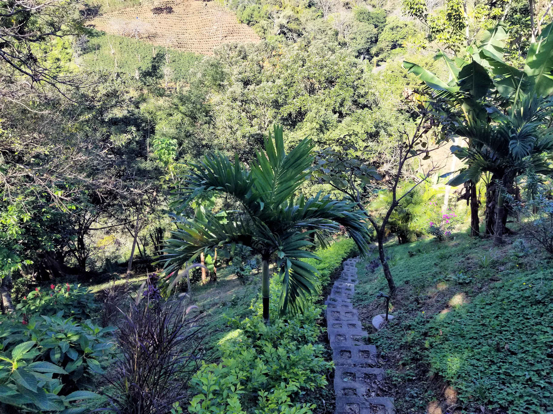 0 bed Land For Sale in Atenas, Alajuela - thumb 12