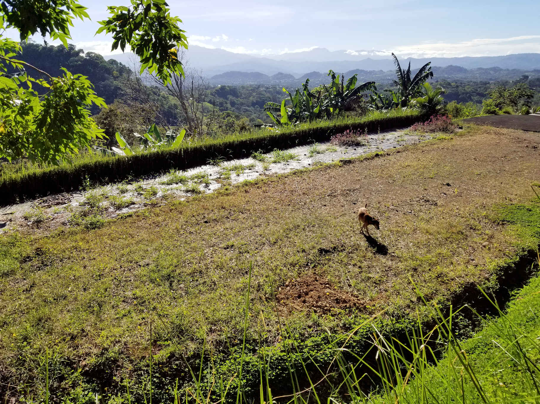 0 bed Land For Sale in Atenas, Alajuela - thumb 4