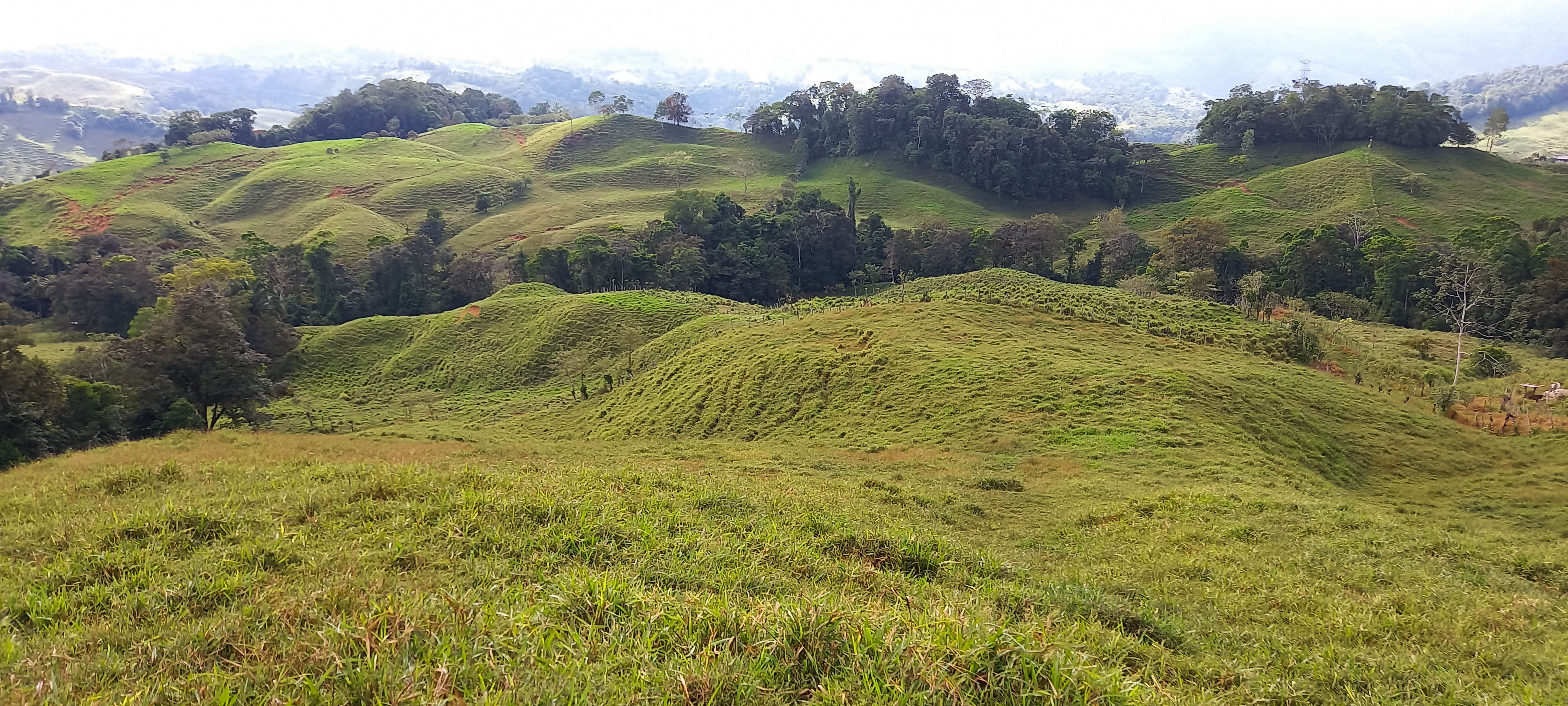 0 bed Land For Sale in Dominical, Puntarenas - thumb 3