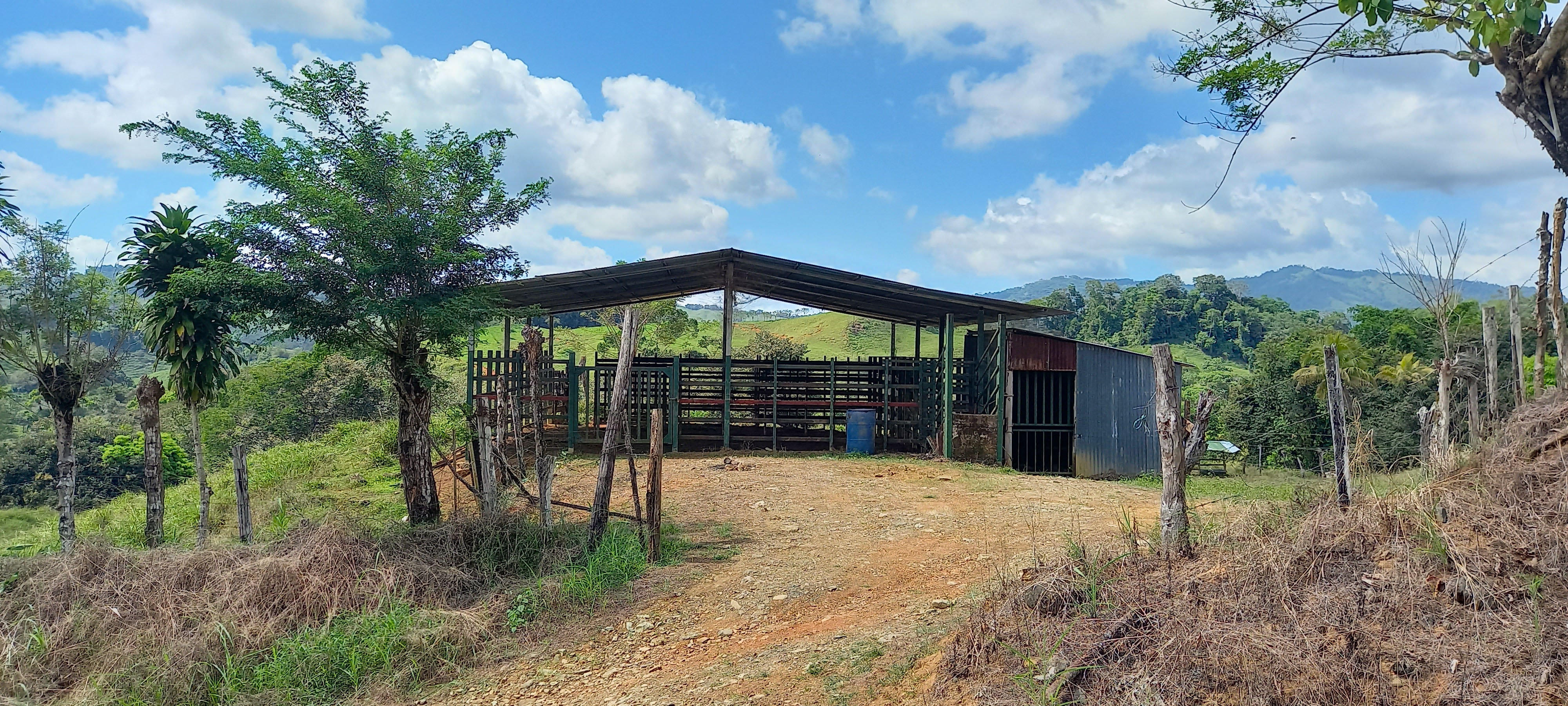 0 bed Land For Sale in Dominical, Puntarenas - thumb 6