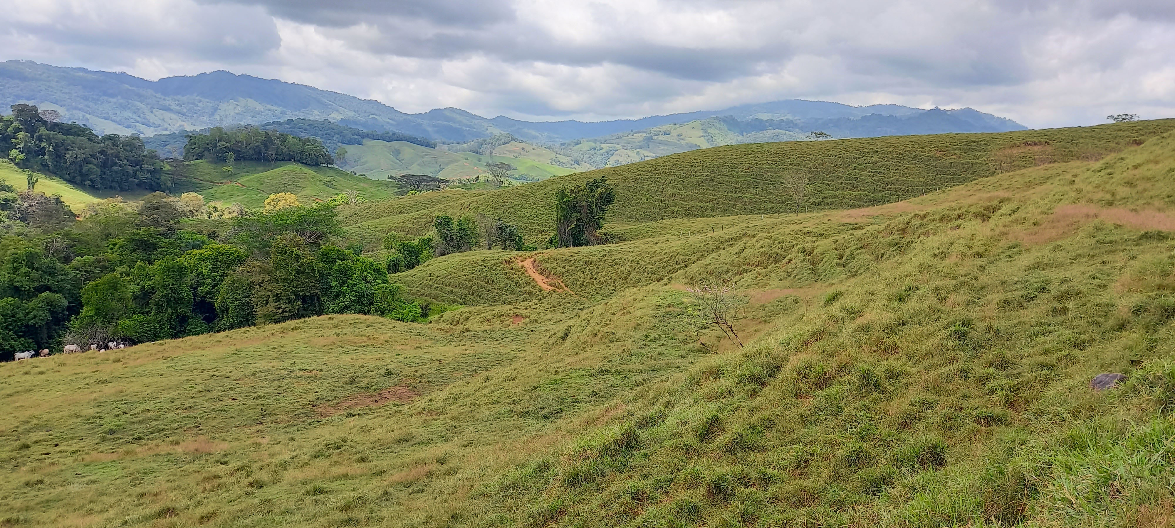 0 bed Land For Sale in Dominical, Puntarenas - thumb 11