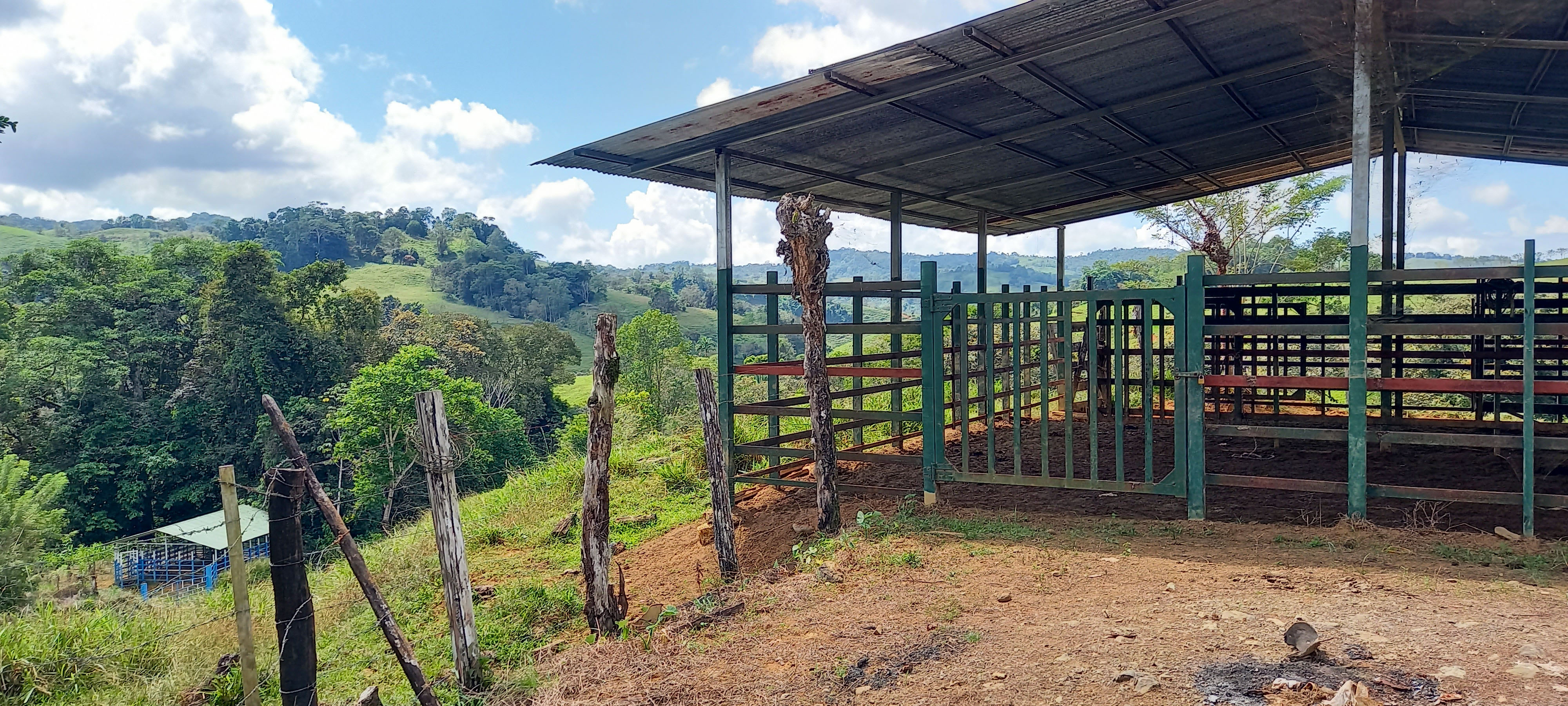 0 bed Land For Sale in Dominical, Puntarenas - thumb 7