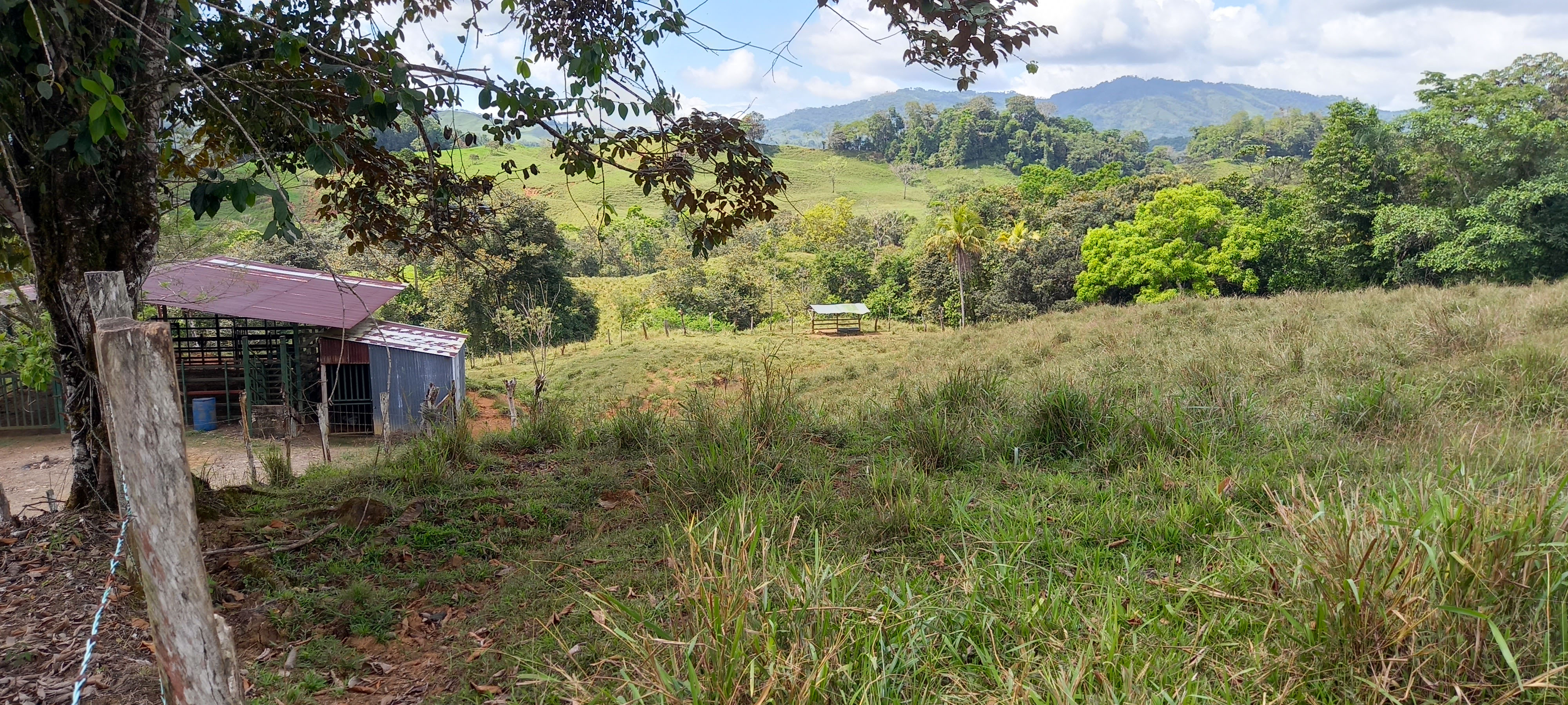 0 bed Land For Sale in Dominical, Puntarenas - thumb 8