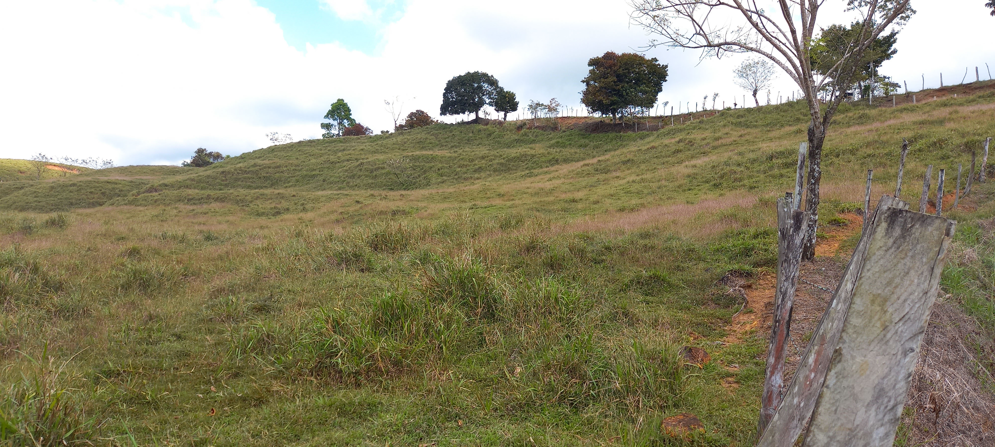 0 bed Land For Sale in Dominical, Puntarenas - thumb 9