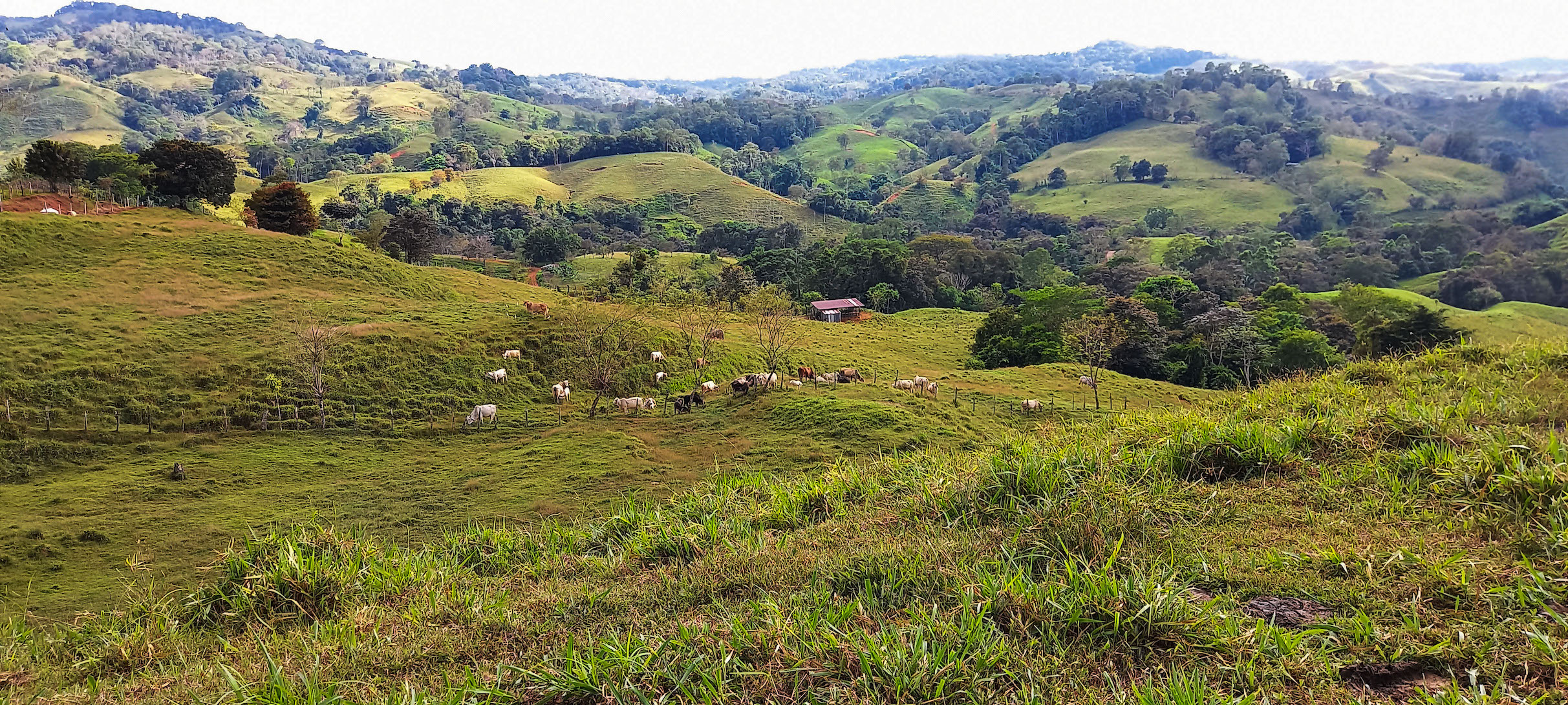 0 bed Land For Sale in Dominical, Puntarenas - thumb 5