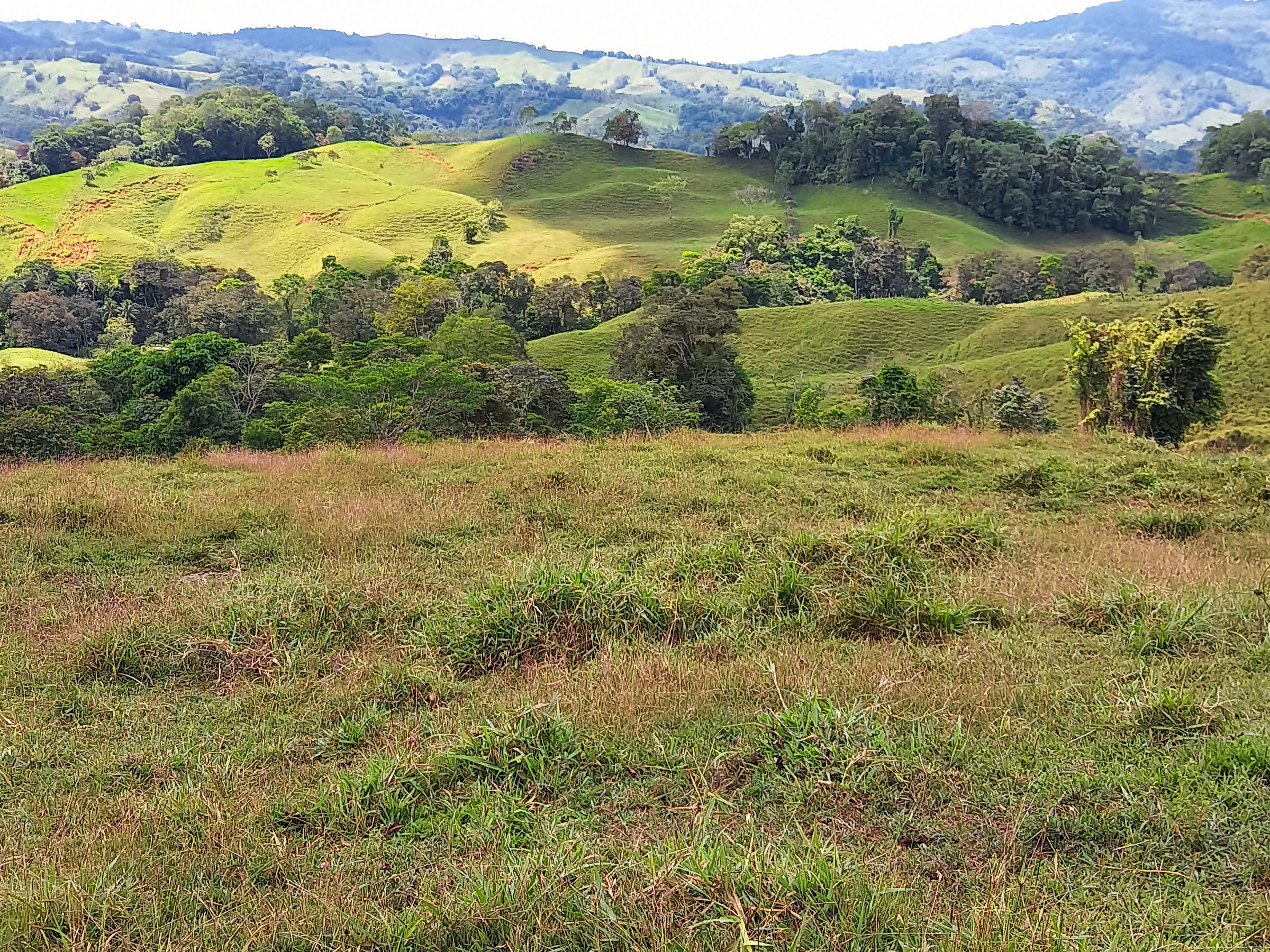 0 bed Land For Sale in Dominical, Puntarenas - thumb 14