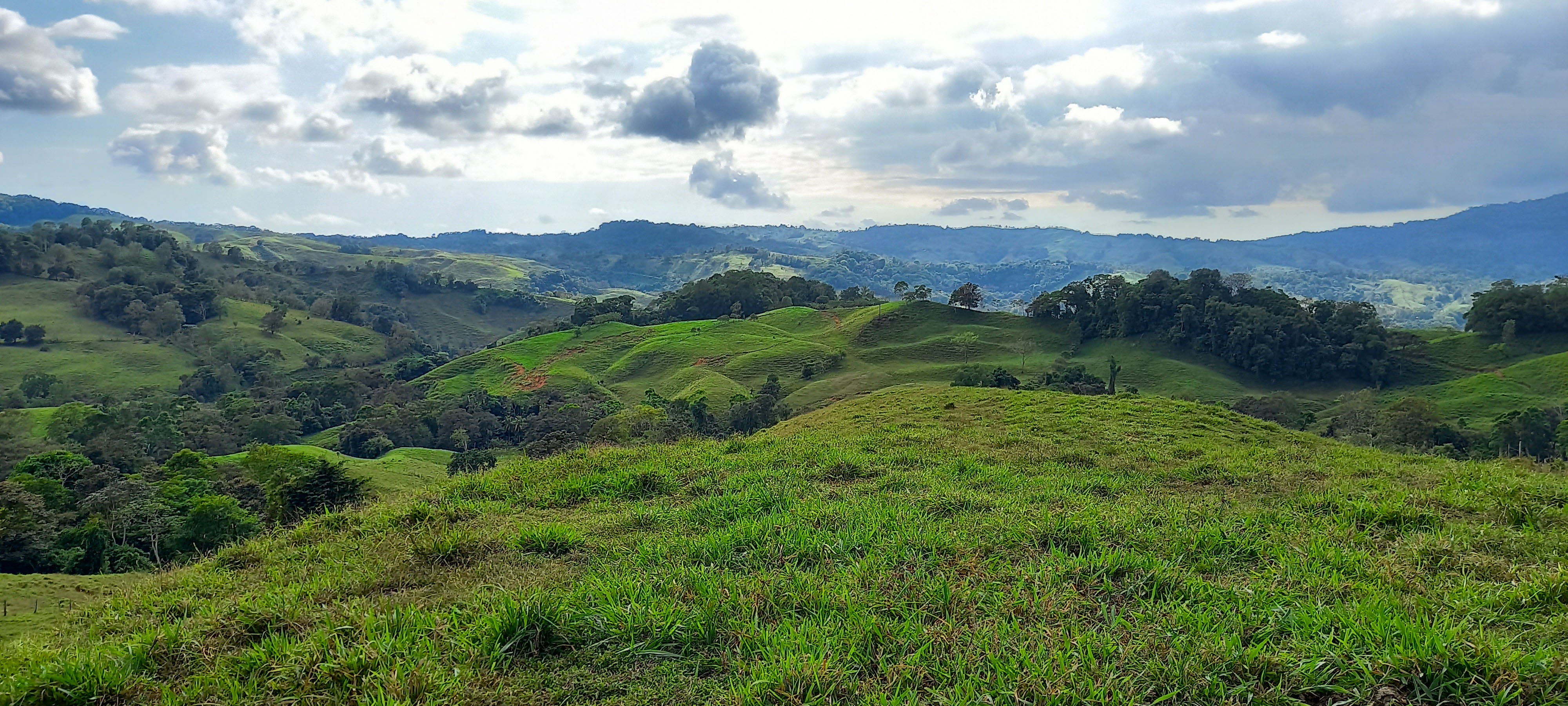 0 bed Land For Sale in Dominical, Puntarenas - thumb 4