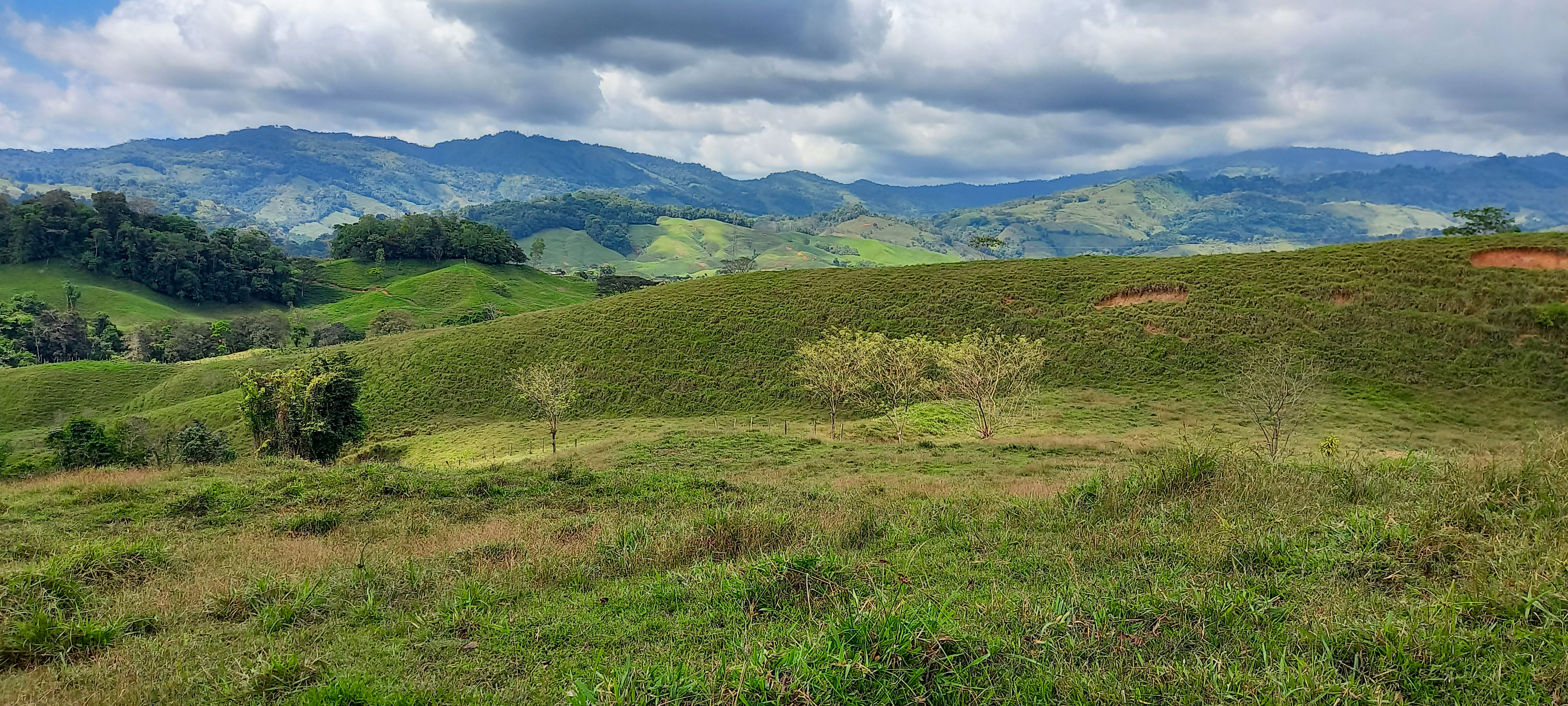 0 bed Land For Sale in Dominical, Puntarenas - thumb 13