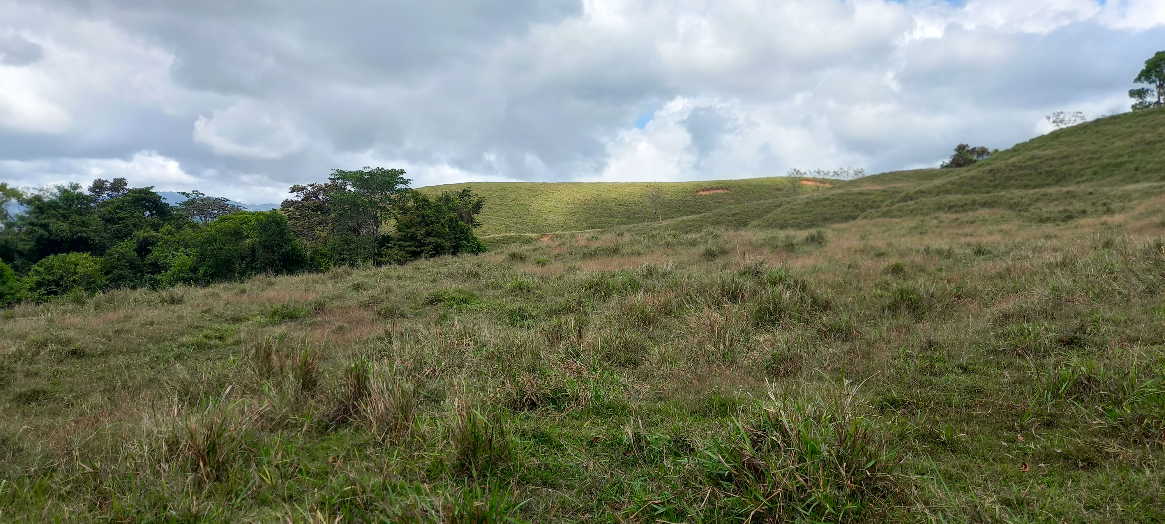 0 bed Land For Sale in Dominical, Puntarenas - thumb 10