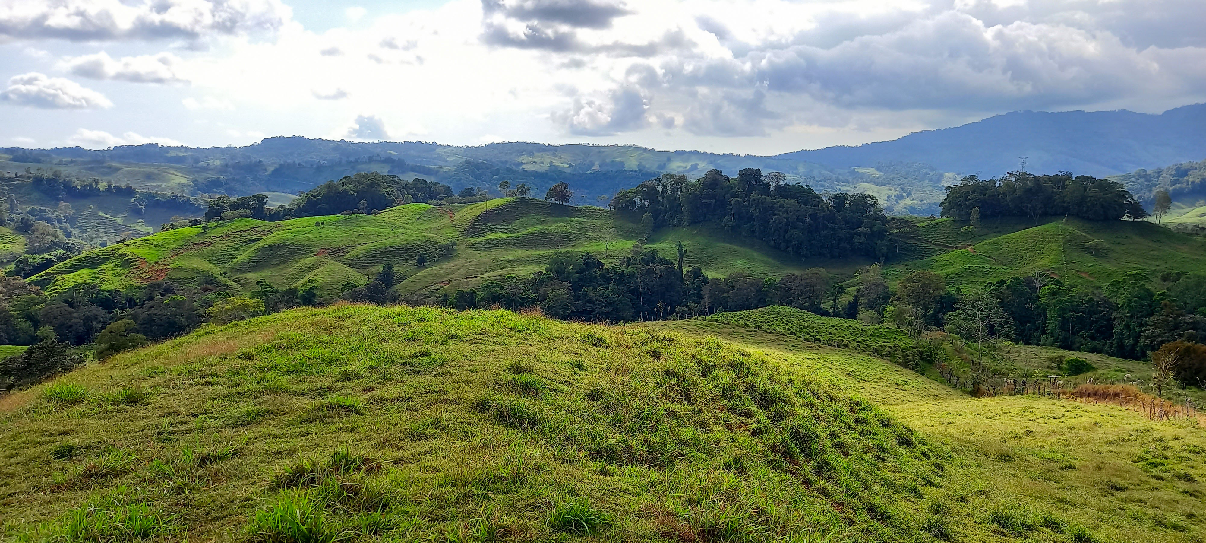 0 bed Land For Sale in Dominical, Puntarenas - thumb 2