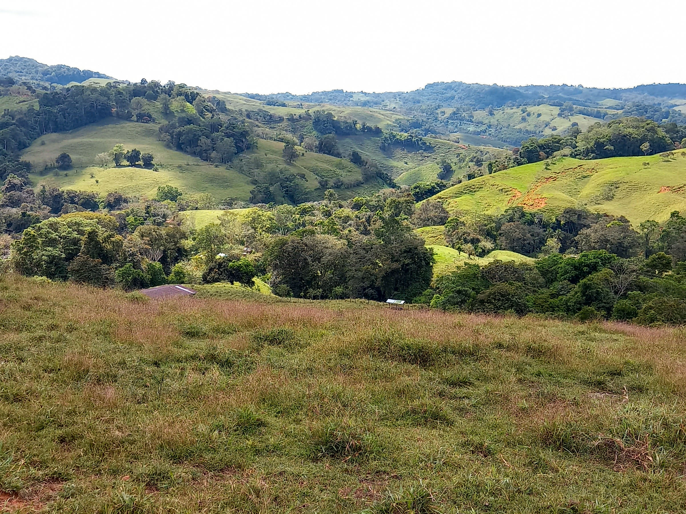 0 bed Land For Sale in Dominical, Puntarenas - thumb 15