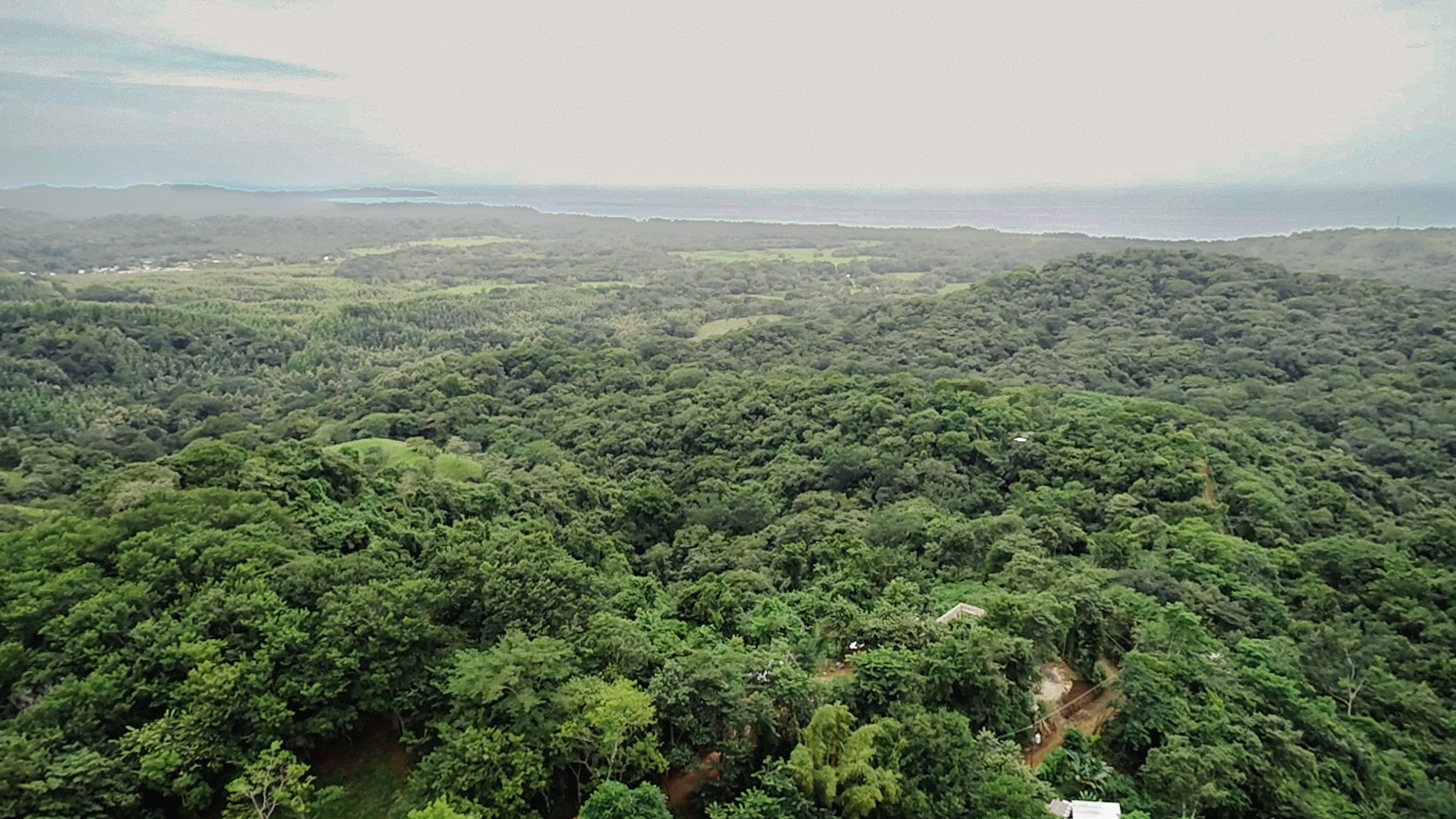 0 bed Land For Sale in Ostional, Guanacaste - thumb 6
