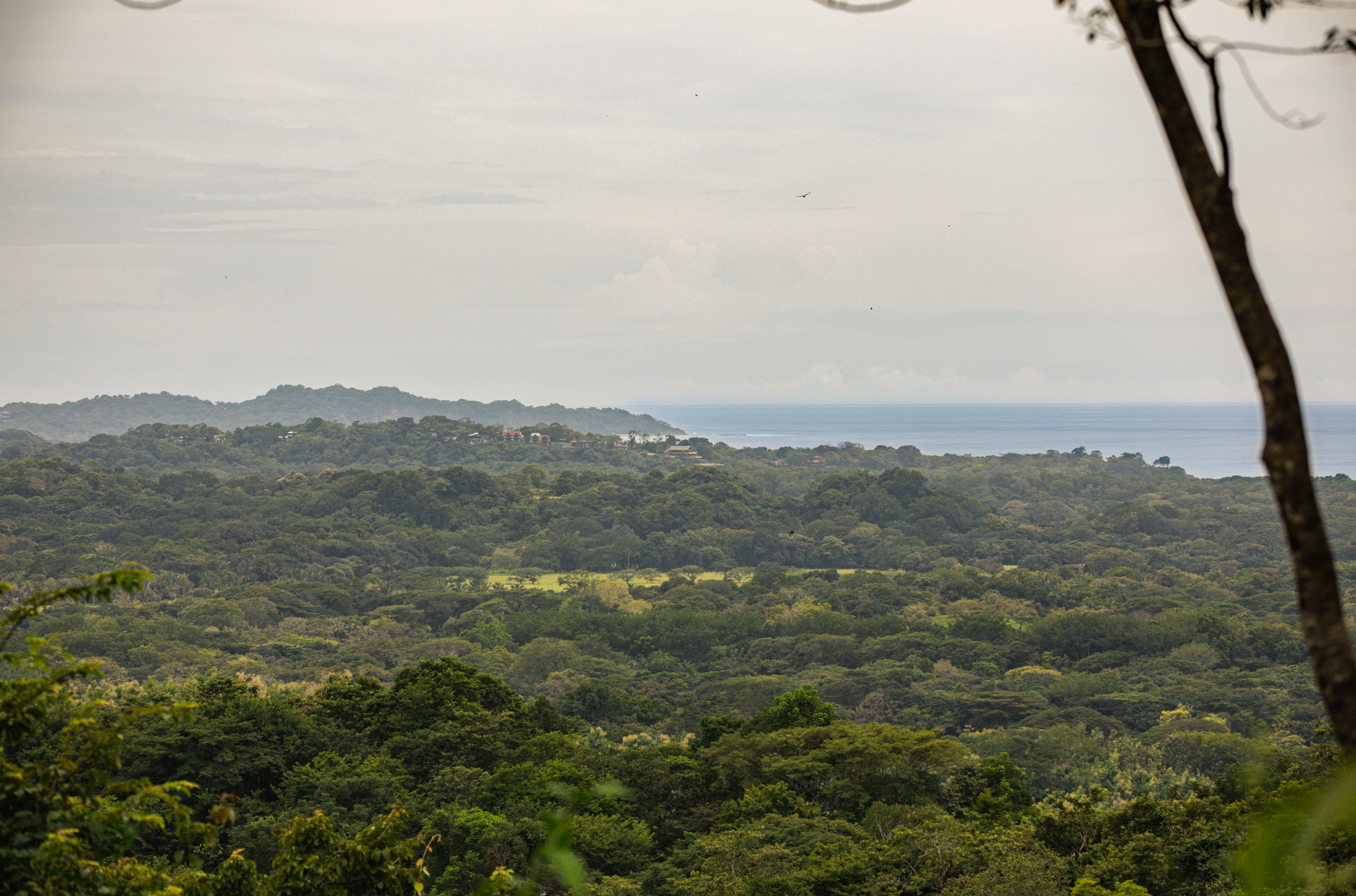 0 bed Land For Sale in Ostional, Guanacaste - thumb 1