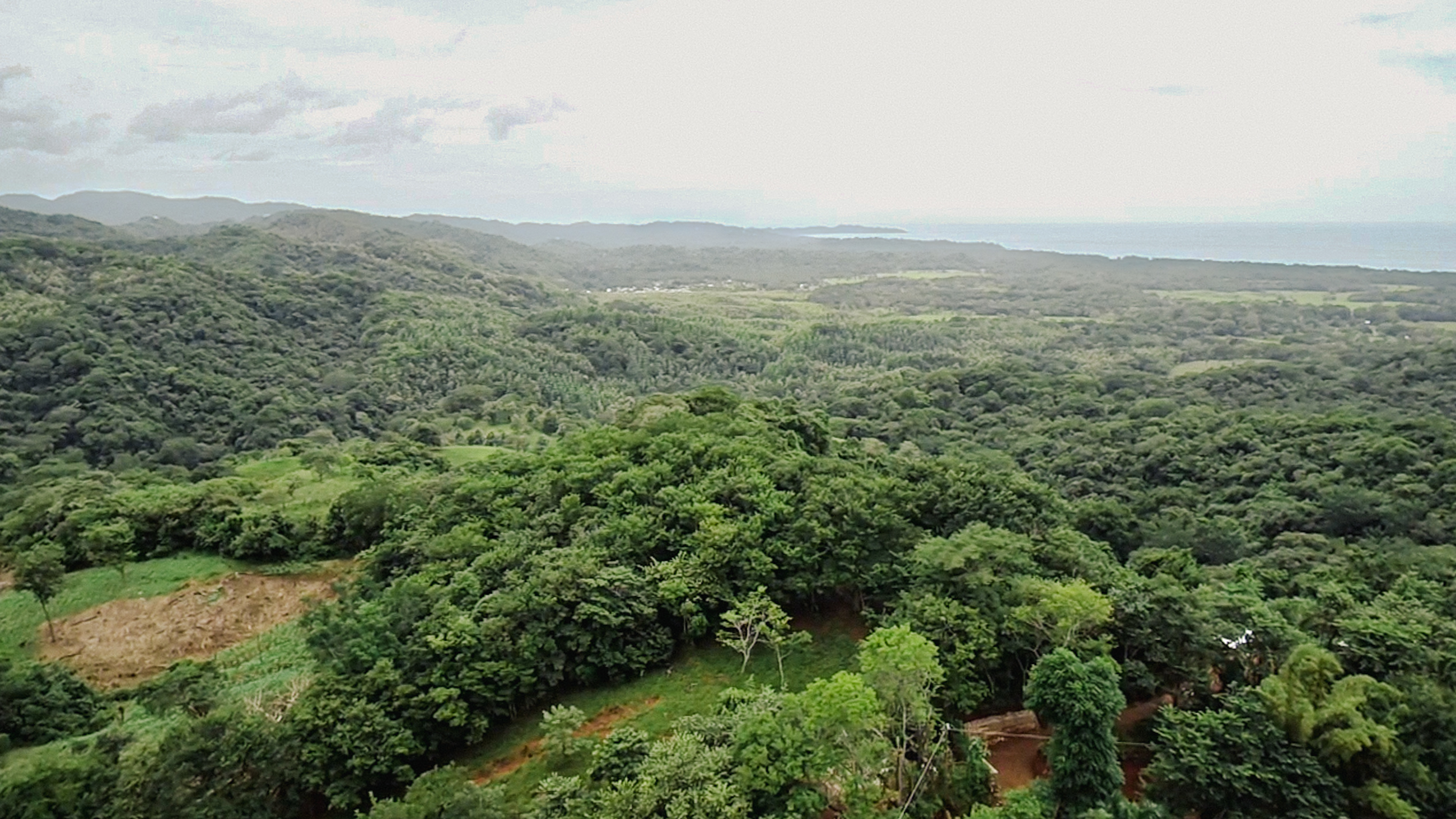 0 bed Land For Sale in Ostional, Guanacaste - thumb 3