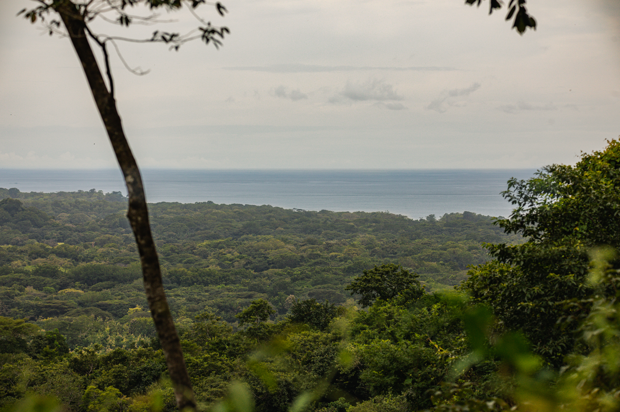 0 bed Land For Sale in Ostional, Guanacaste - thumb 2