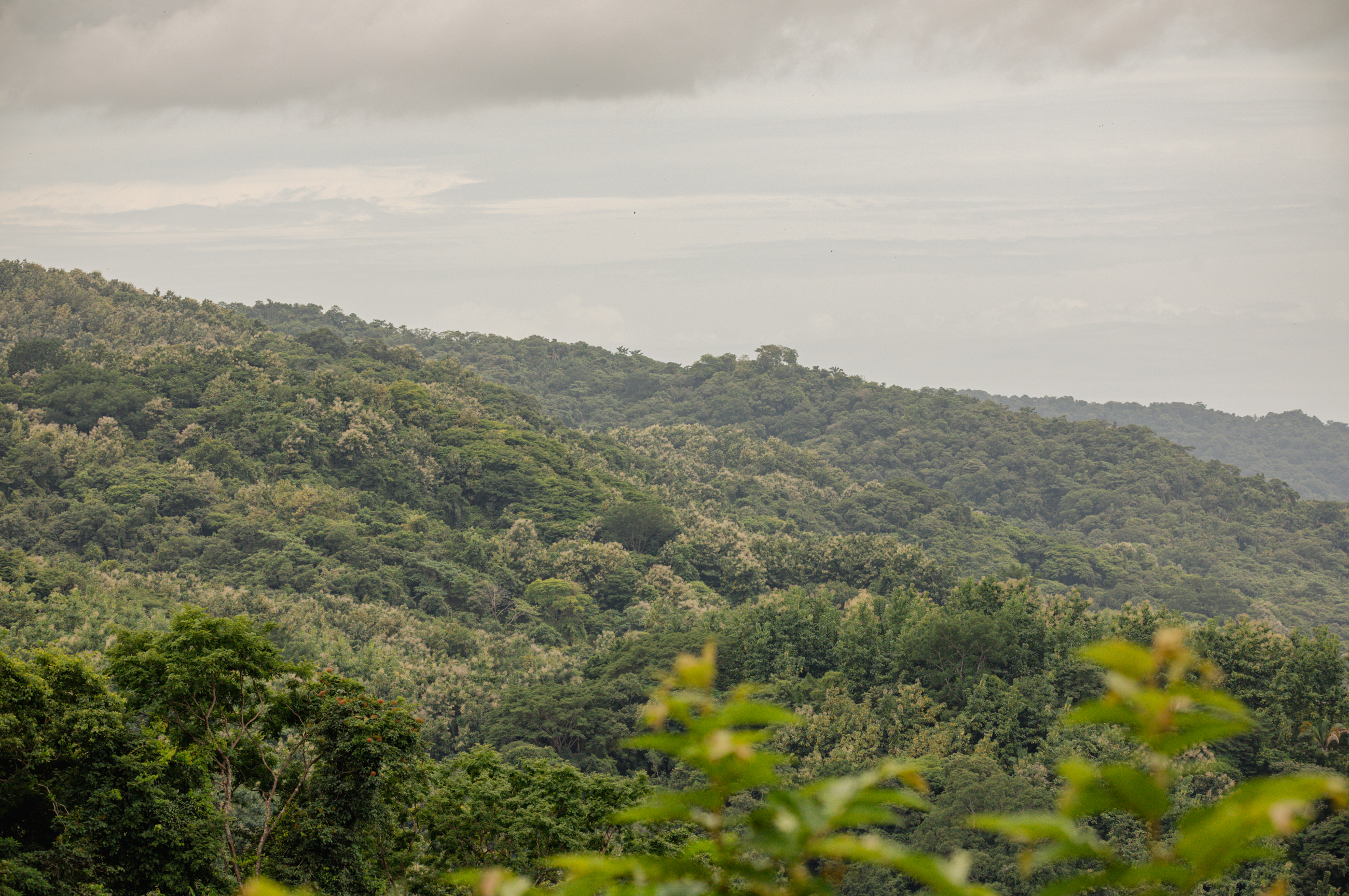 0 bed Land For Sale in Ostional, Guanacaste - thumb 5