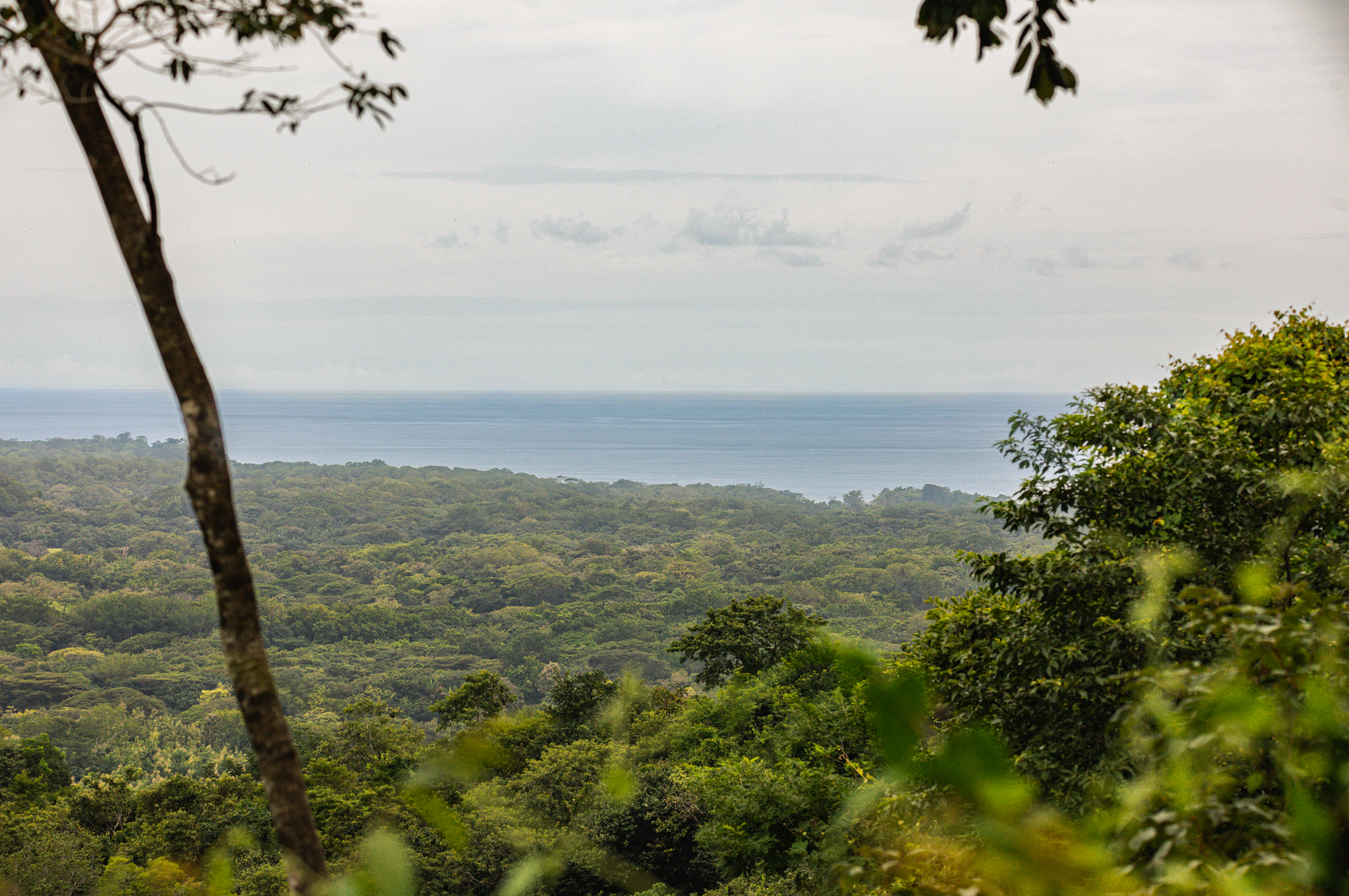 0 bed Land For Sale in Ostional, Guanacaste - thumb 4