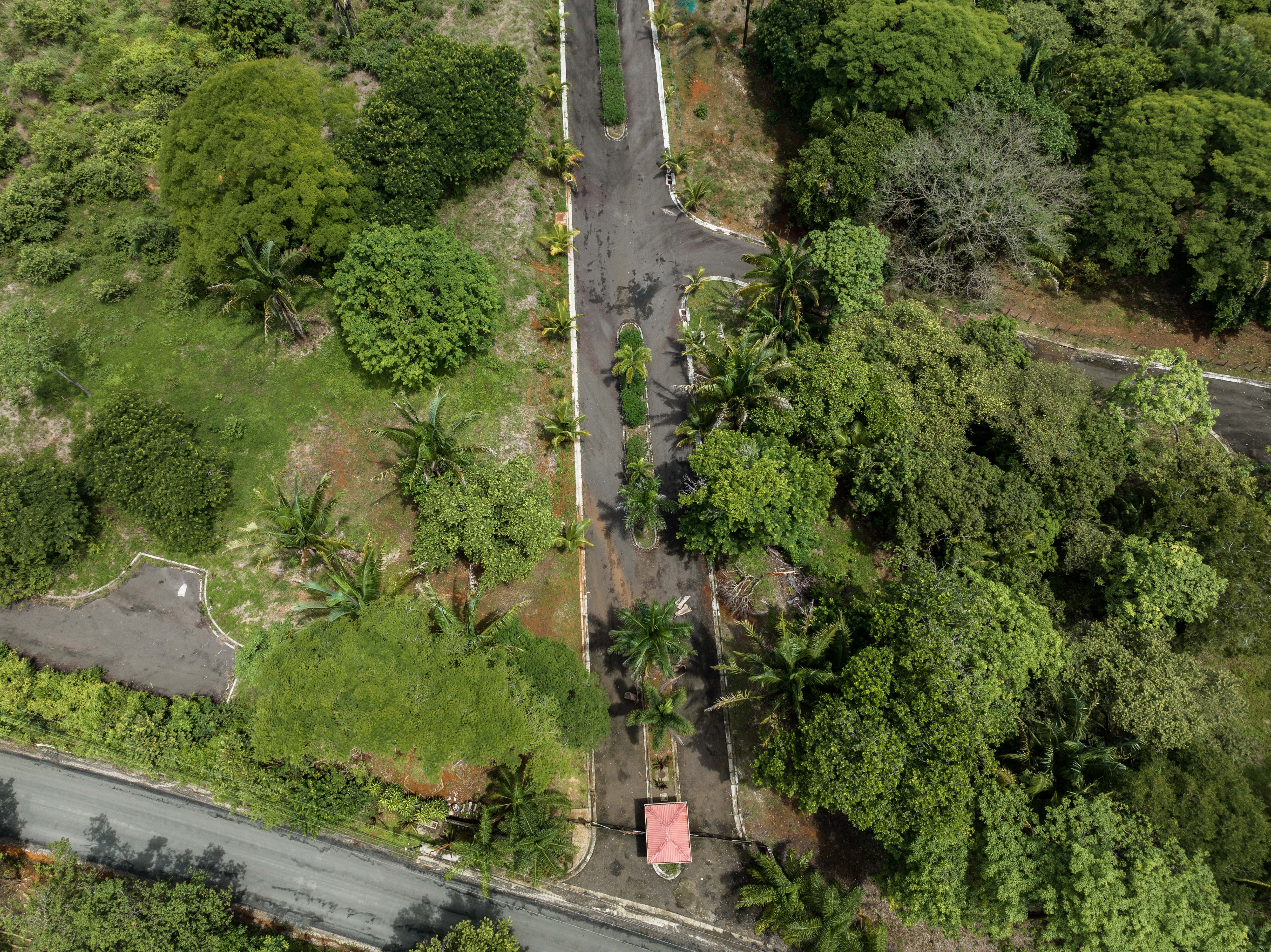 0 bed Land For Sale in Nosara, Guanacaste - thumb 16