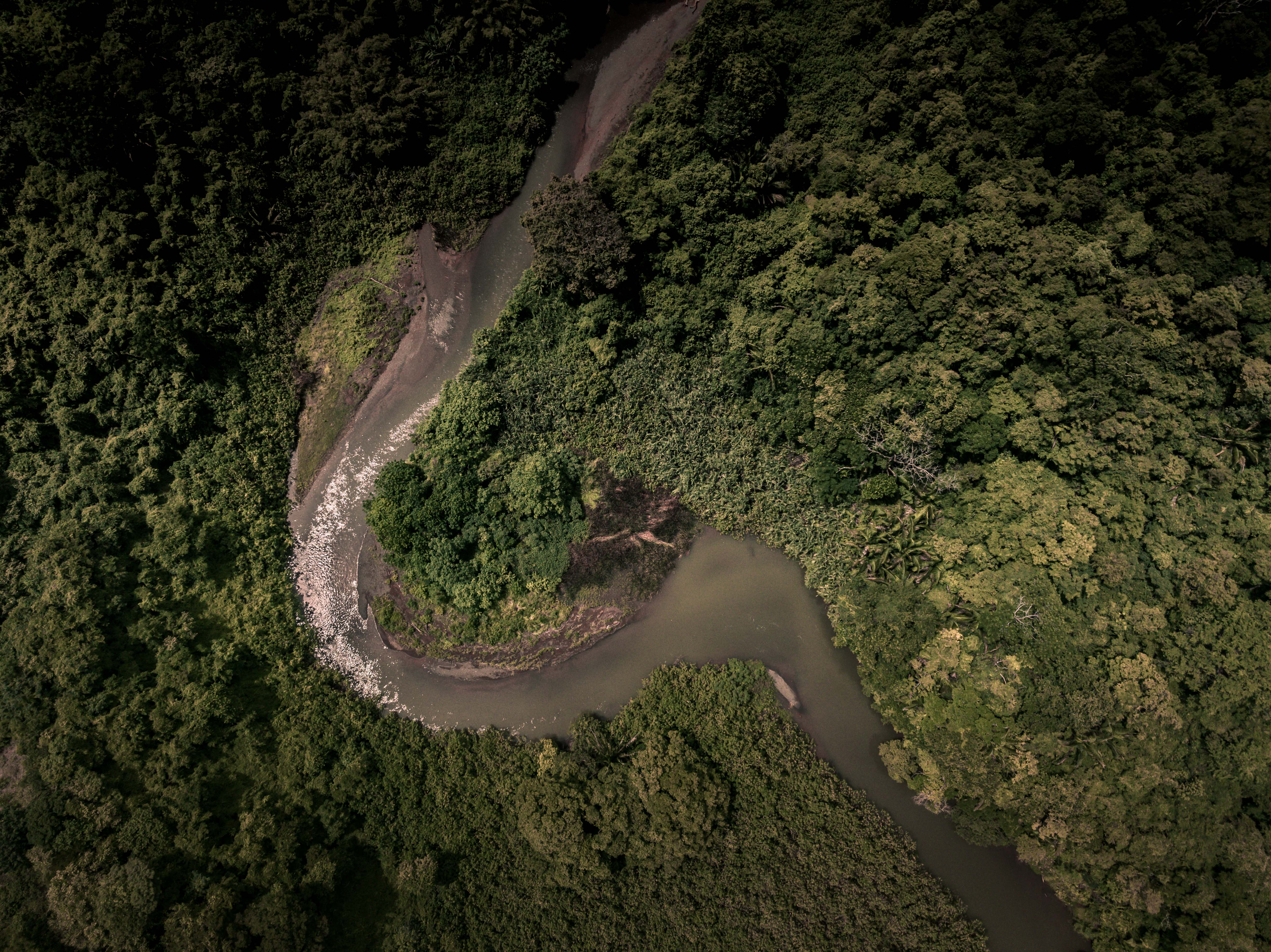 0 bed Land For Sale in Nosara, Guanacaste - thumb 5