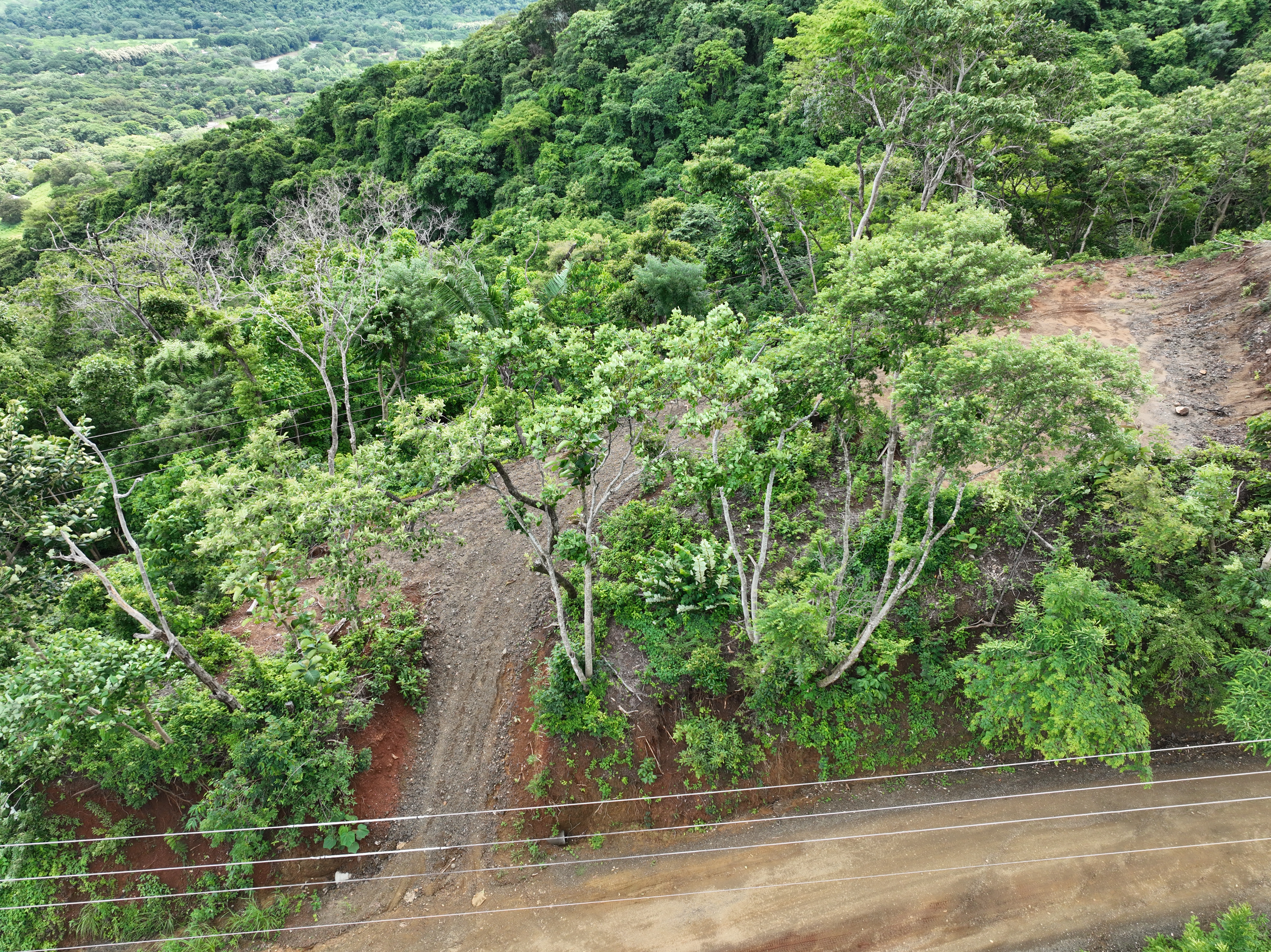 0 bed Land For Sale in Nosara, Guanacaste - thumb 6