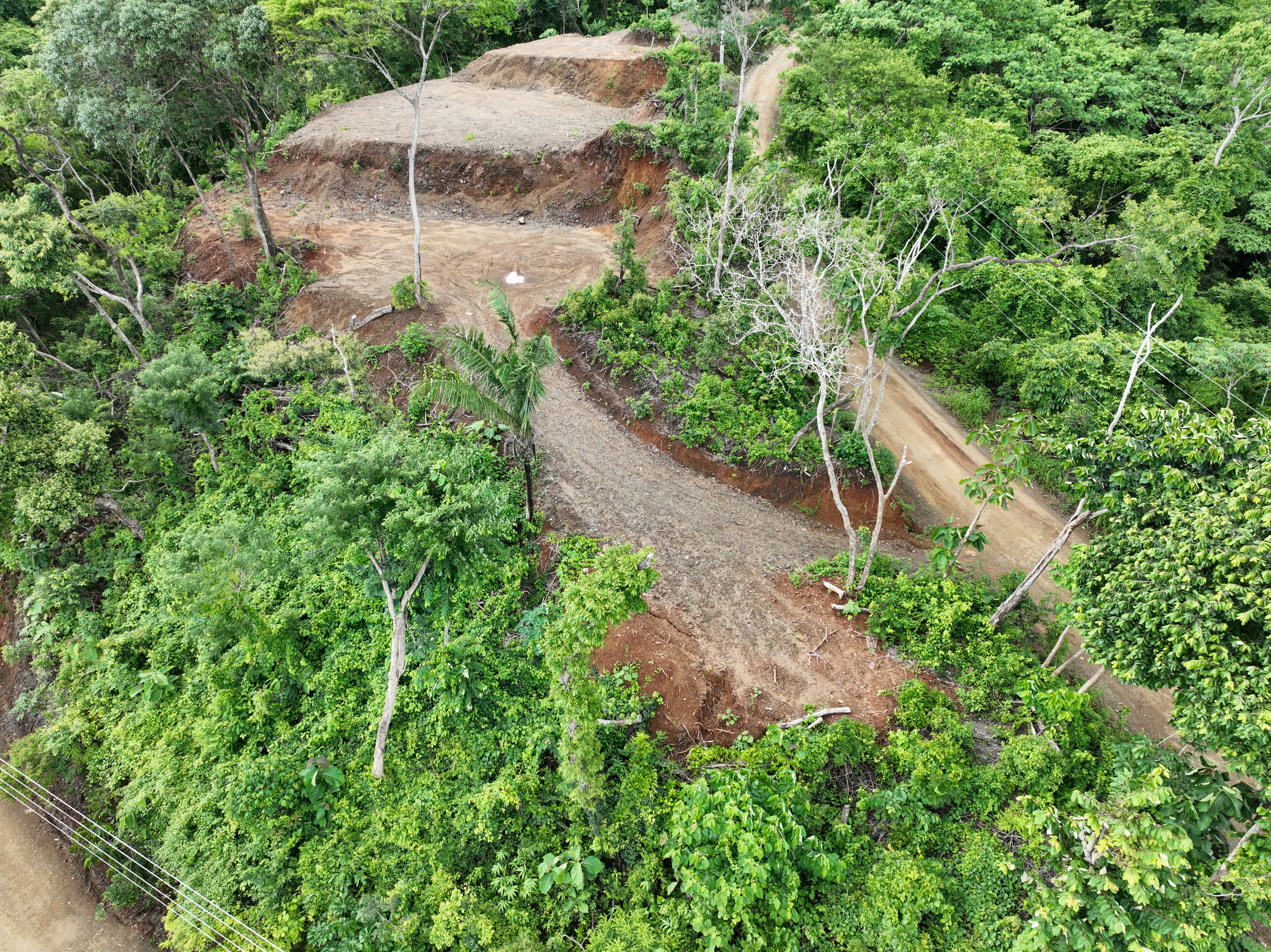 0 bed Land For Sale in Nosara, Guanacaste - thumb 1